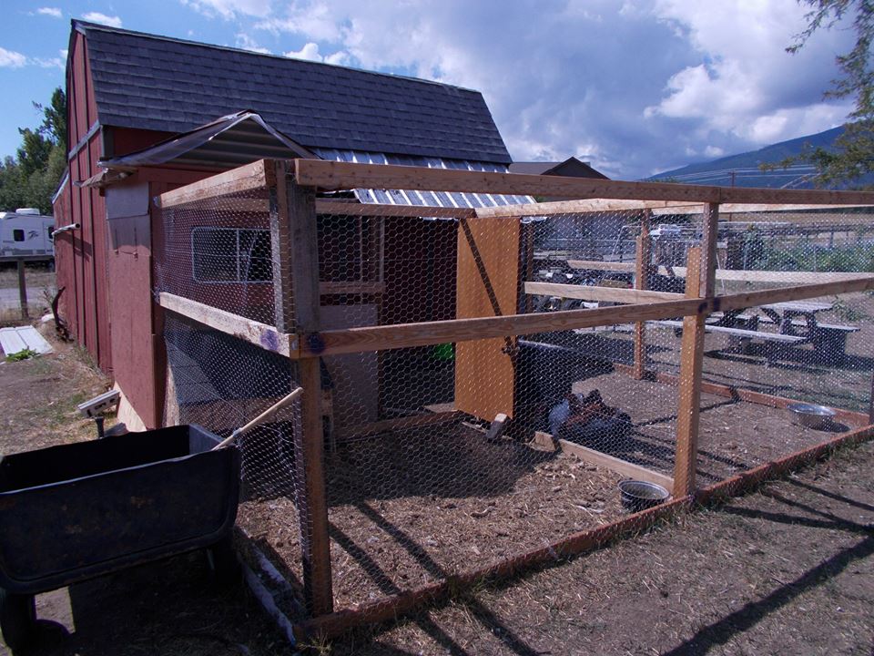 The door we added to our separated coop section.  You can also see the window we added to the north wall.