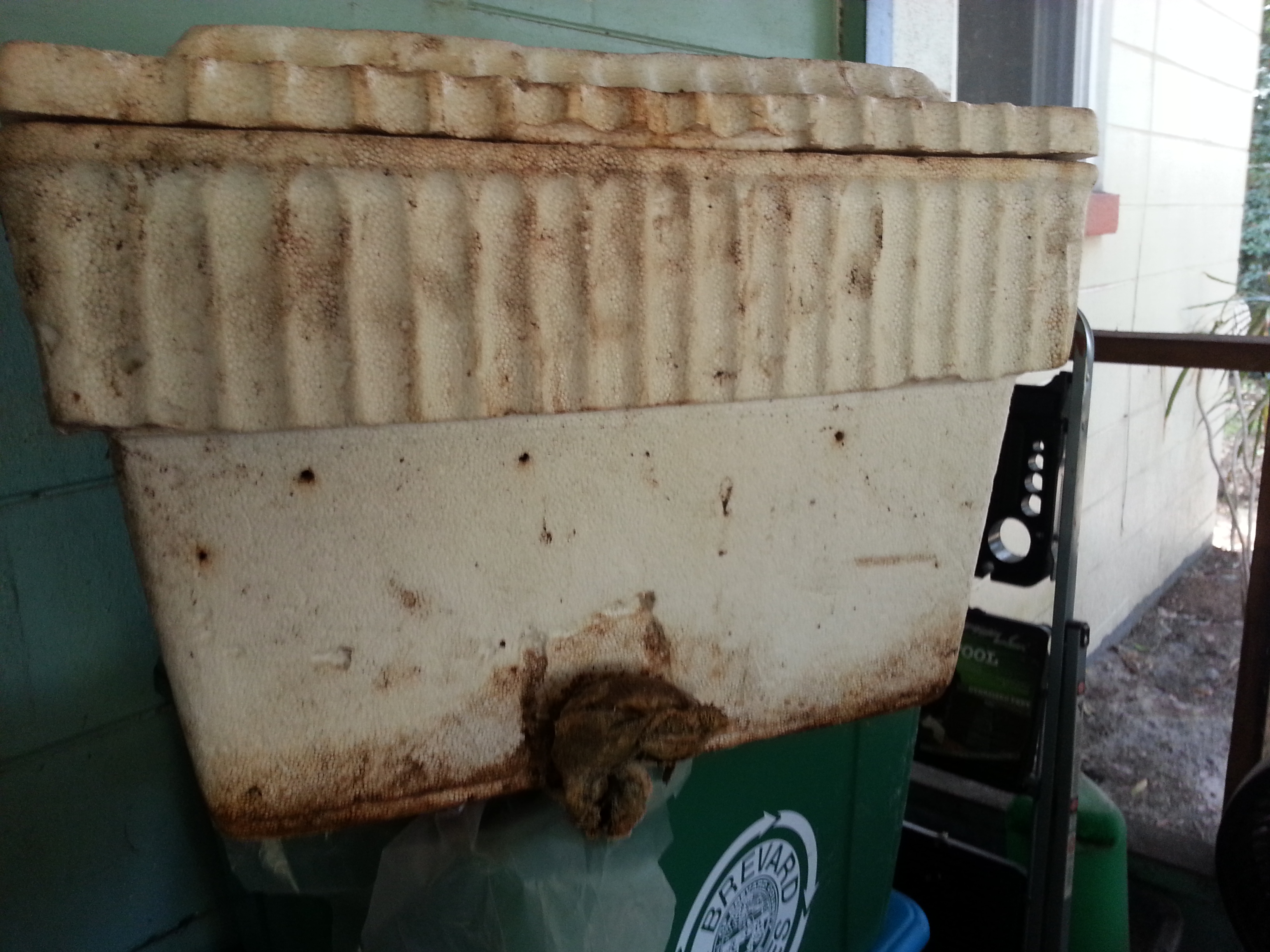 The drain hole had to be enlarged: sponge works well to allow drainage, but keep worms in.