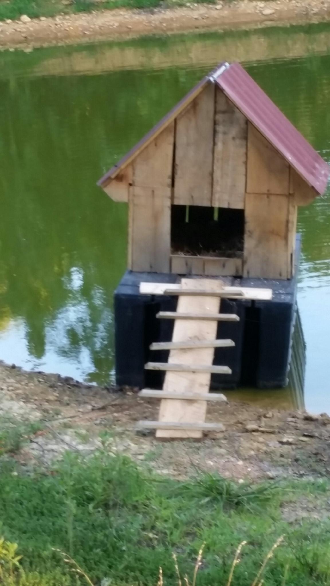 The duck house