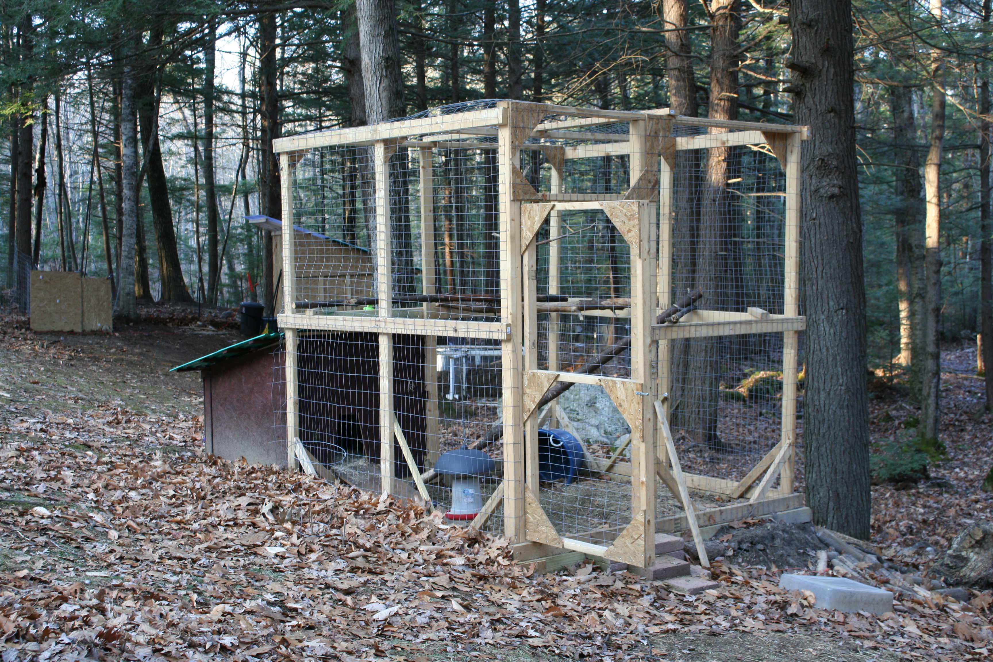 The duck hut for our muscovy ducks, including the attached pen.  The hut is 4' x 8' and the pen is 8' x 8' x 8'.  There are branches in the pen for roosting.  They're rarely locked in, but it's there if they want it in bad weather, the crumbles go in the feeder, and we used it to keep our drake contained when he got injured.