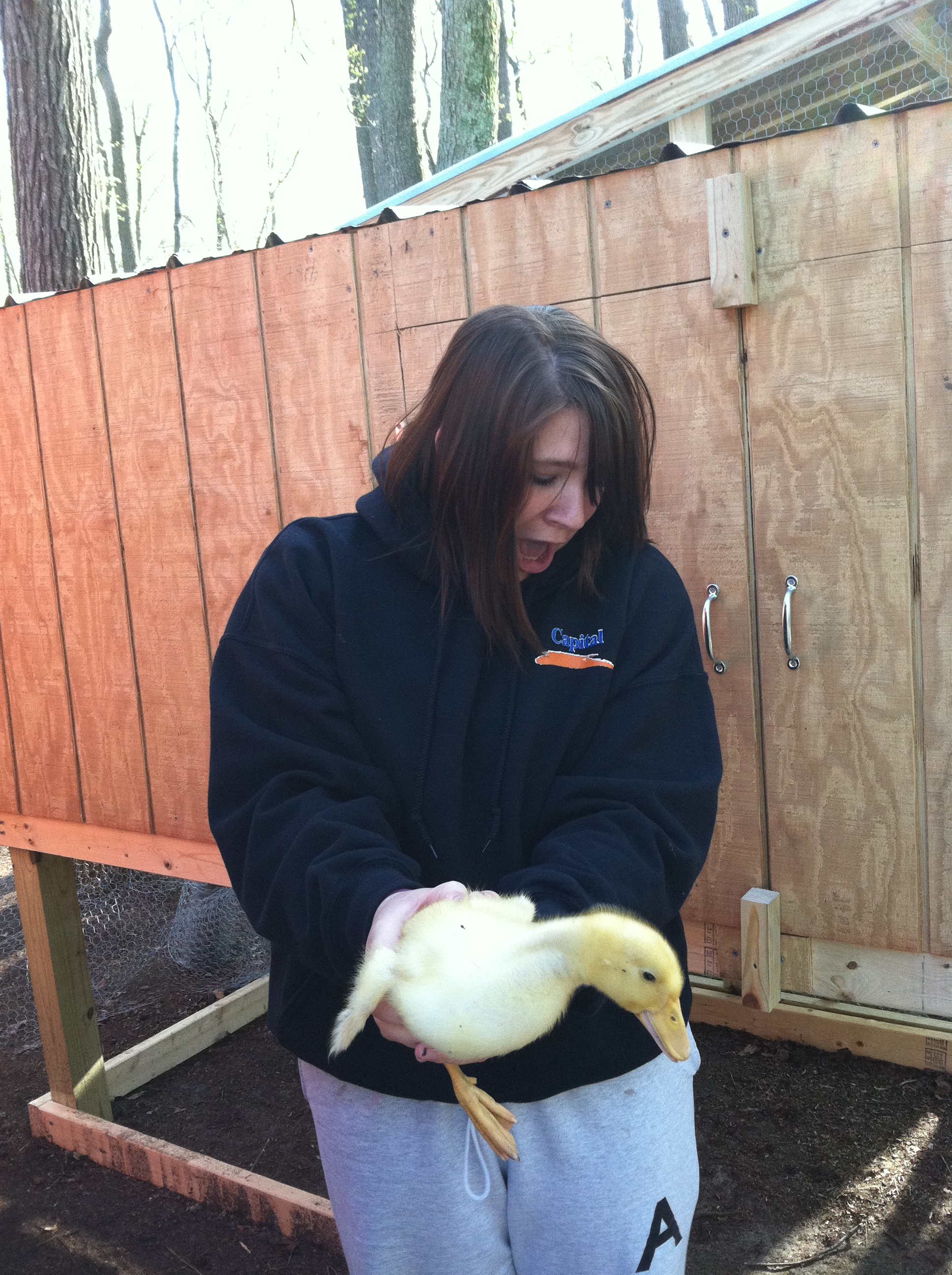 The duck spit on her.
(4/23/2013)