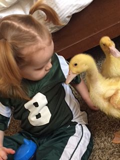 The duck whisperer ; )