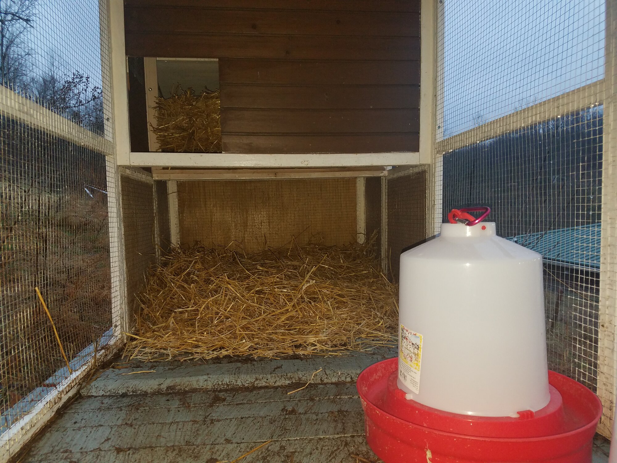 The Ducknager cave is ready for new inhabitants