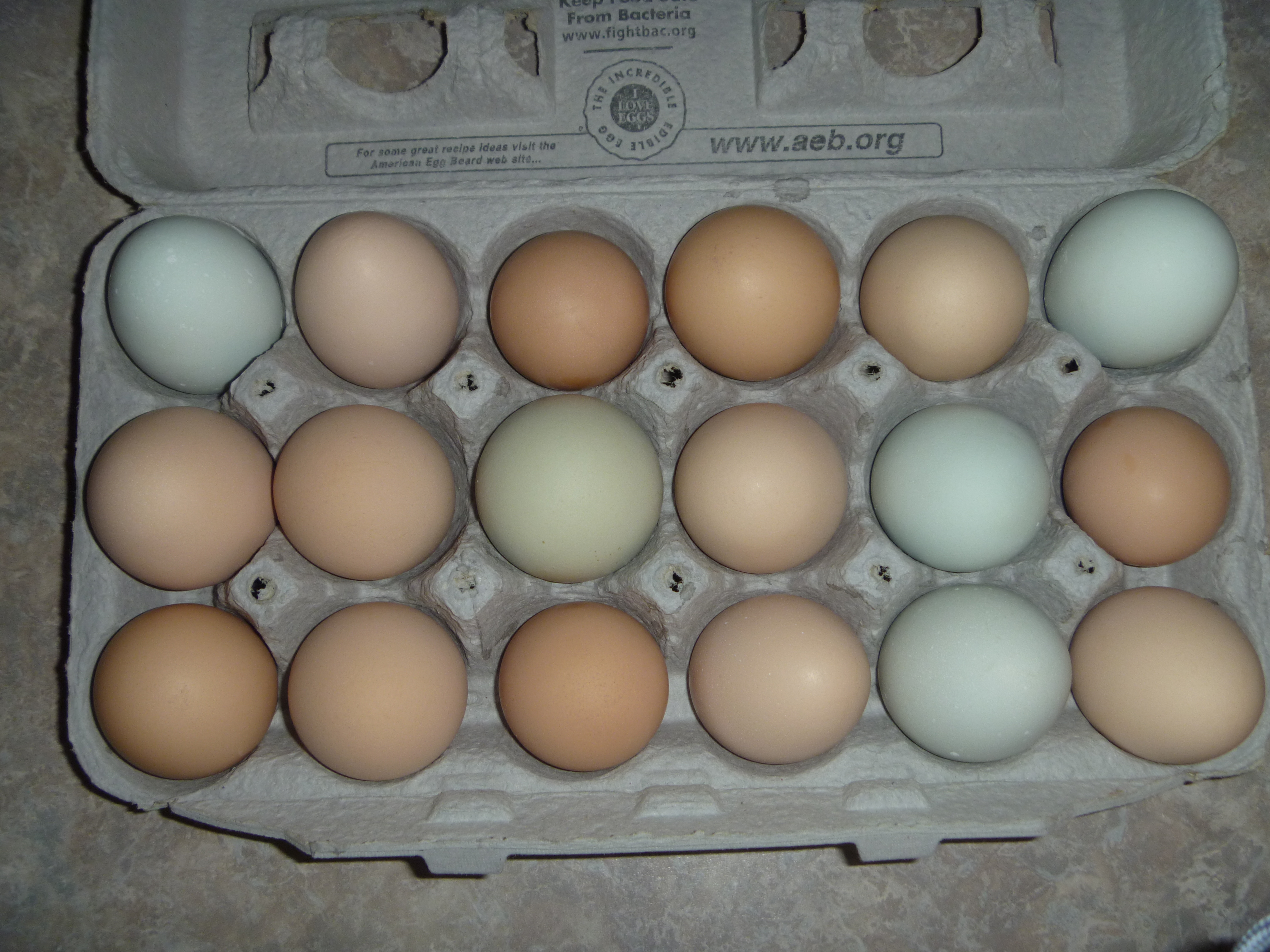 The egg basket, or carton=)