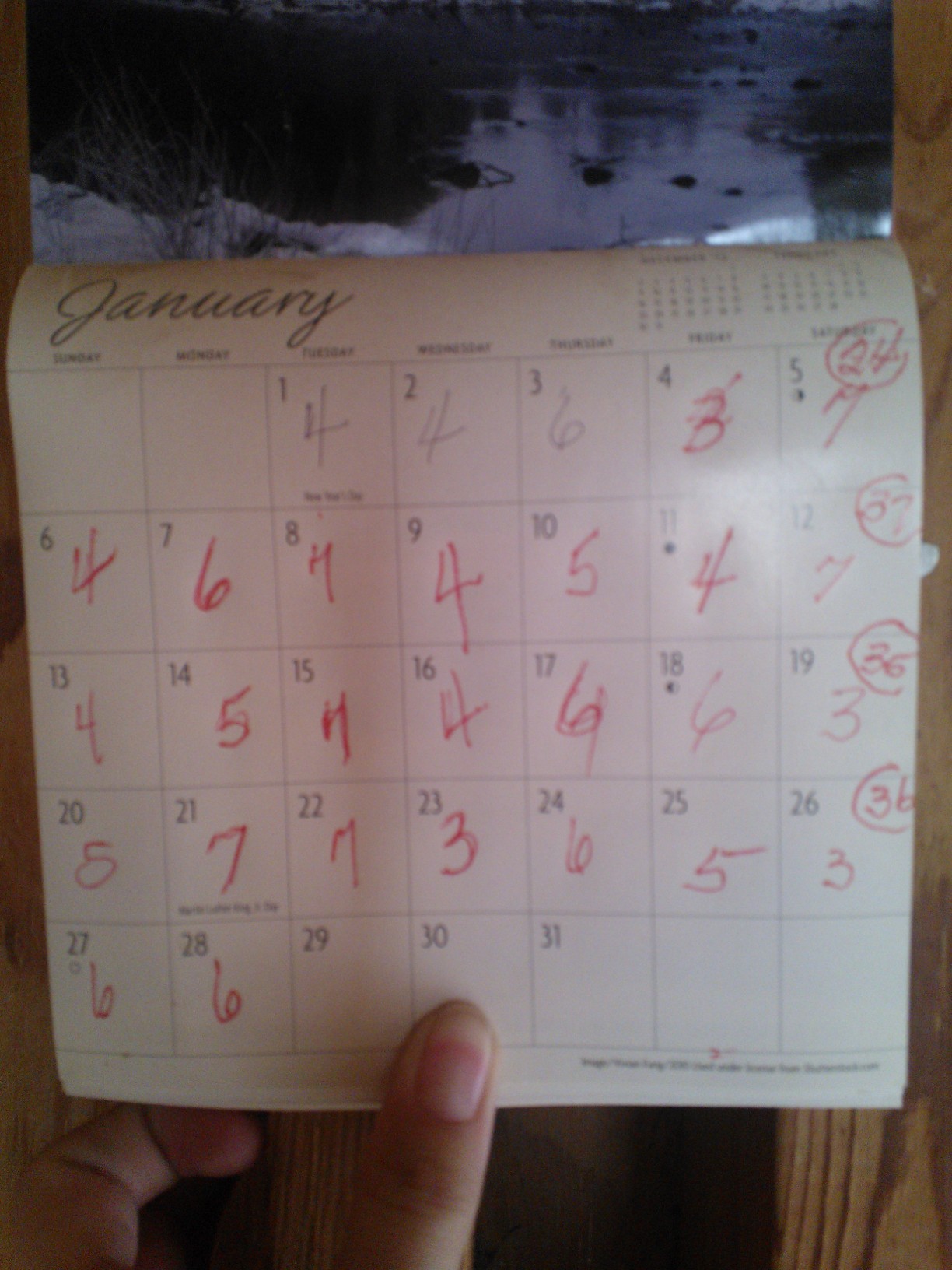 The egg count calendar