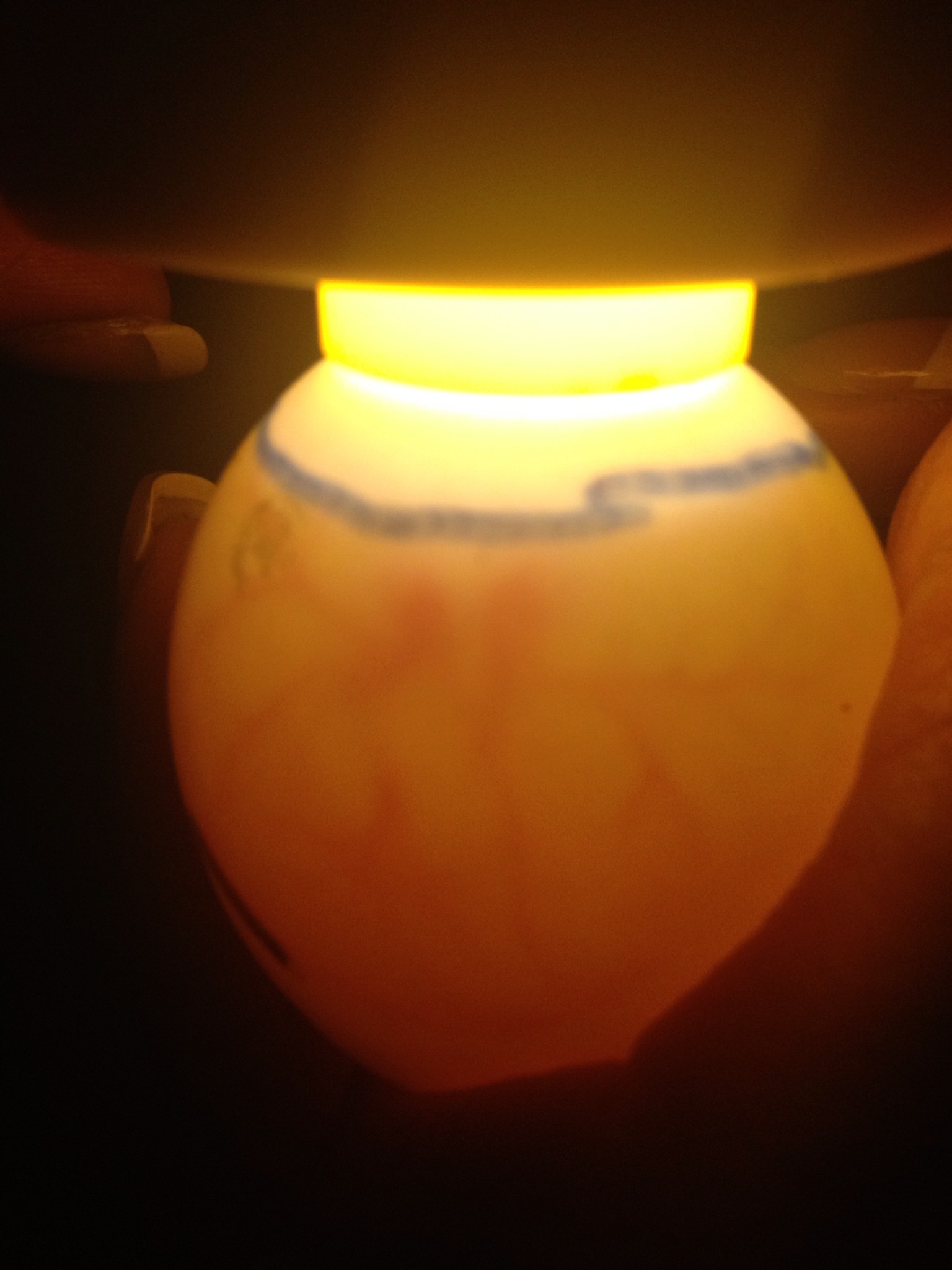 The embryos are 7 days old