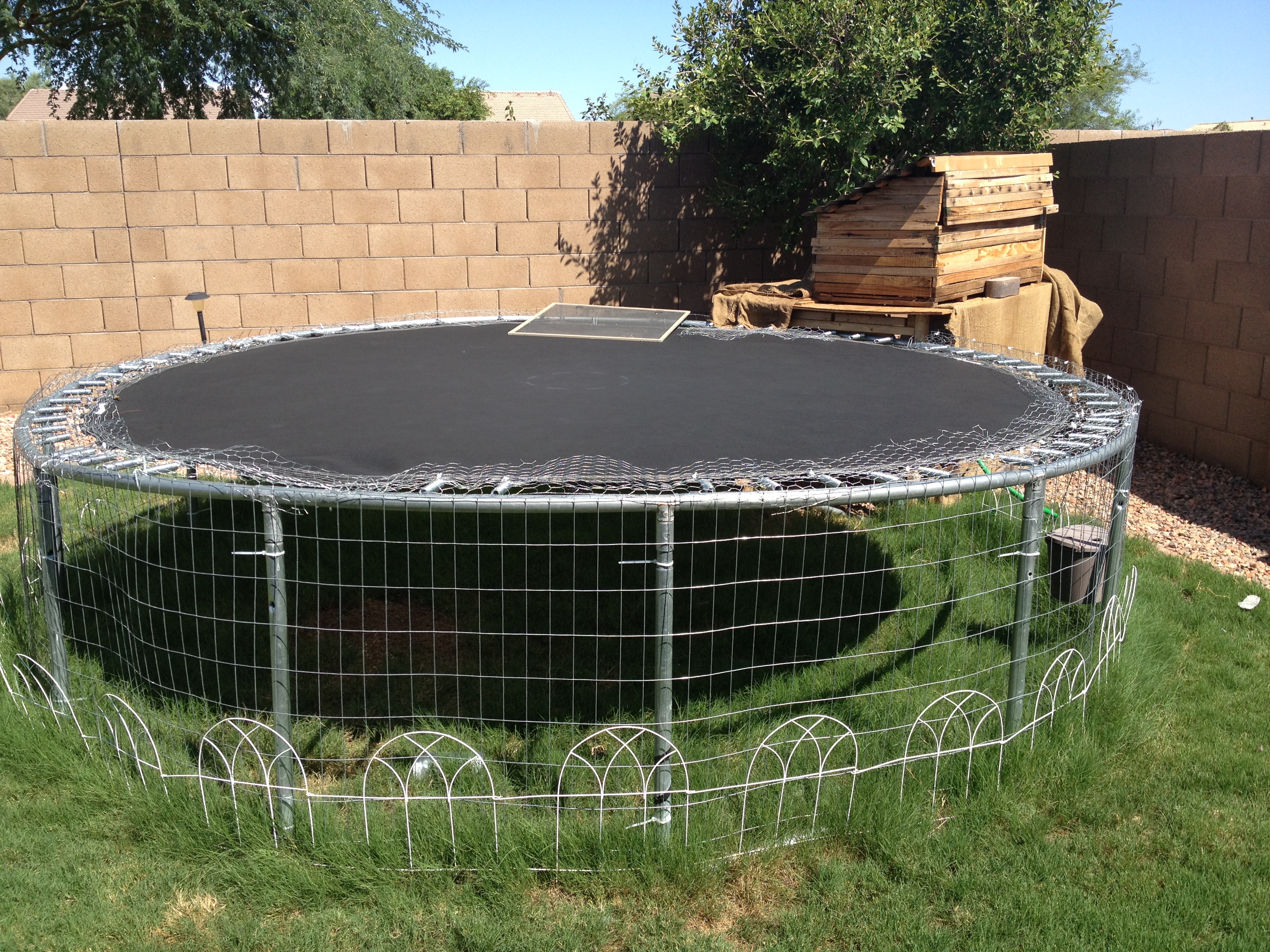 the enclosure, old trampoline i got for $40 on craigslist