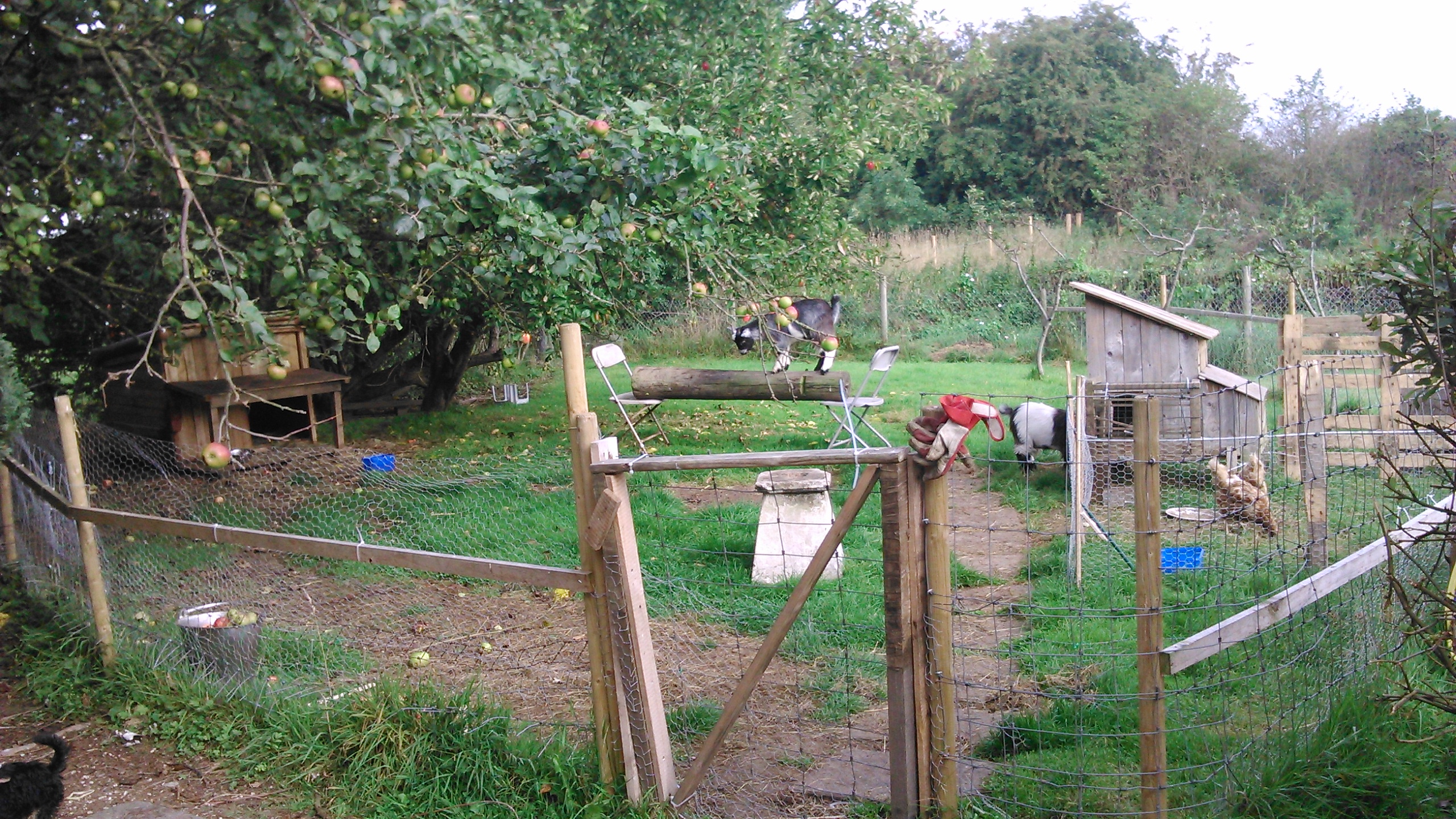 The 'Enclosure'