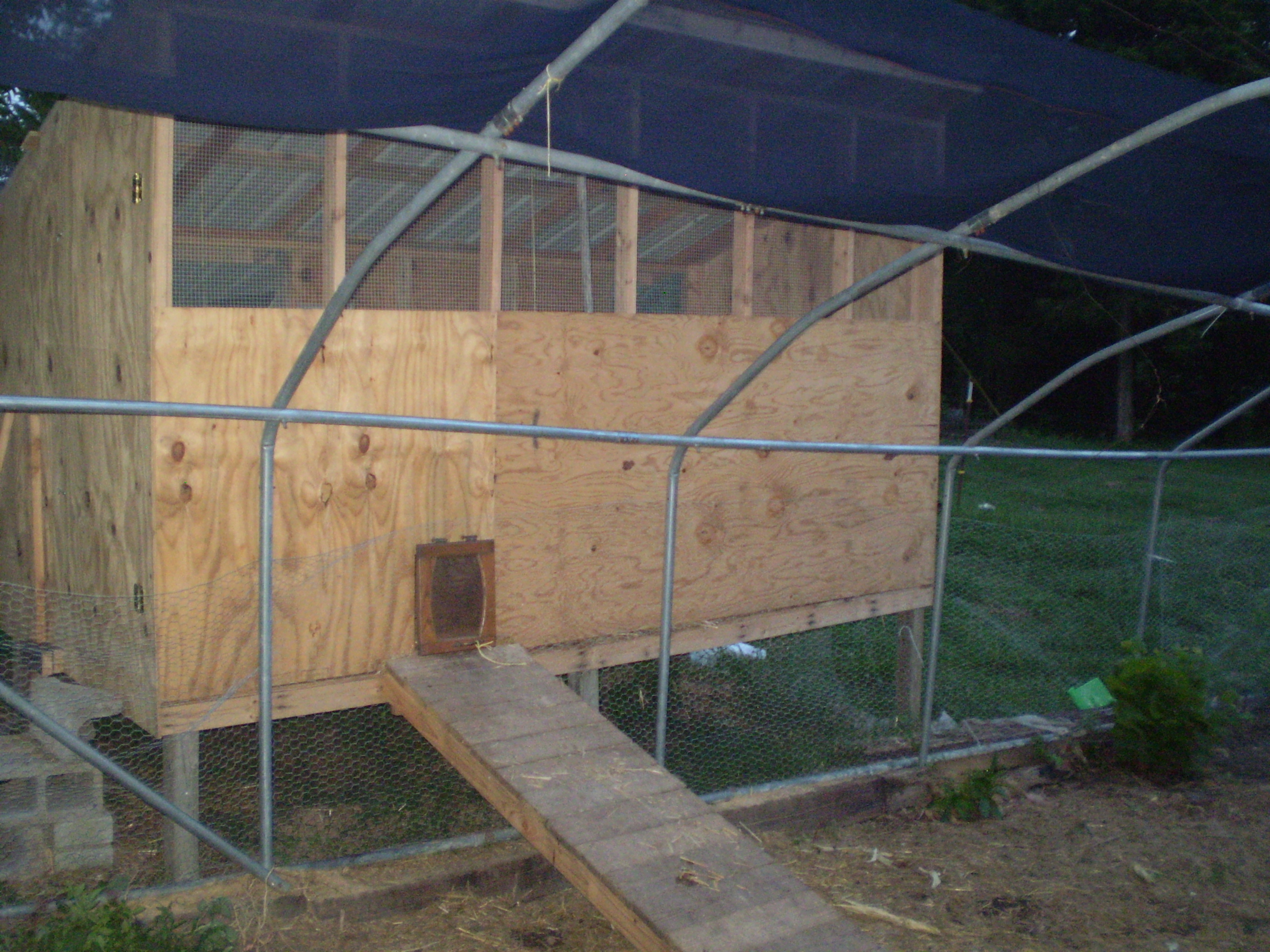 the entrance to the run: i.e. greenhouse from the coop