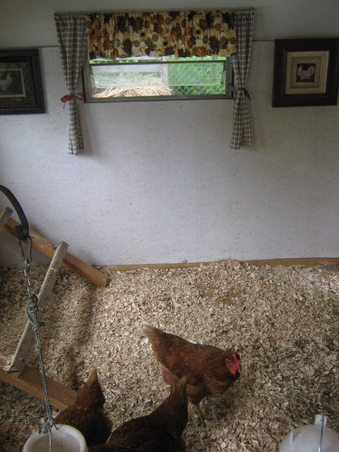 The existing windows provide excellent ventilation and are fully adjustable. Vinyl flooring makes for easy clean-up.