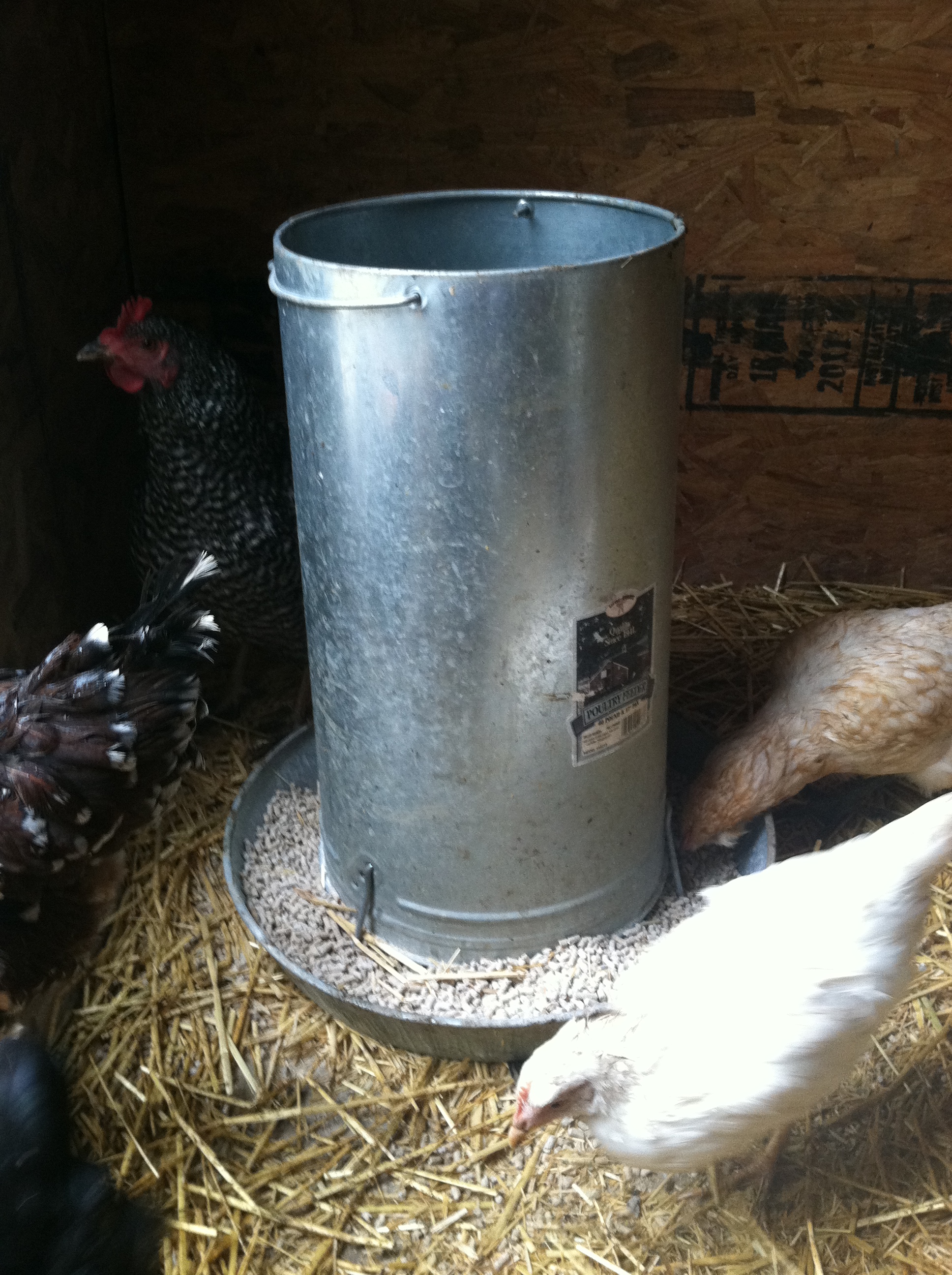 The feeder holds the majority contents of a 50lb feed bag. Diatomaceous earth is mixed into the feed as a preventative of internal parasites such as worms.