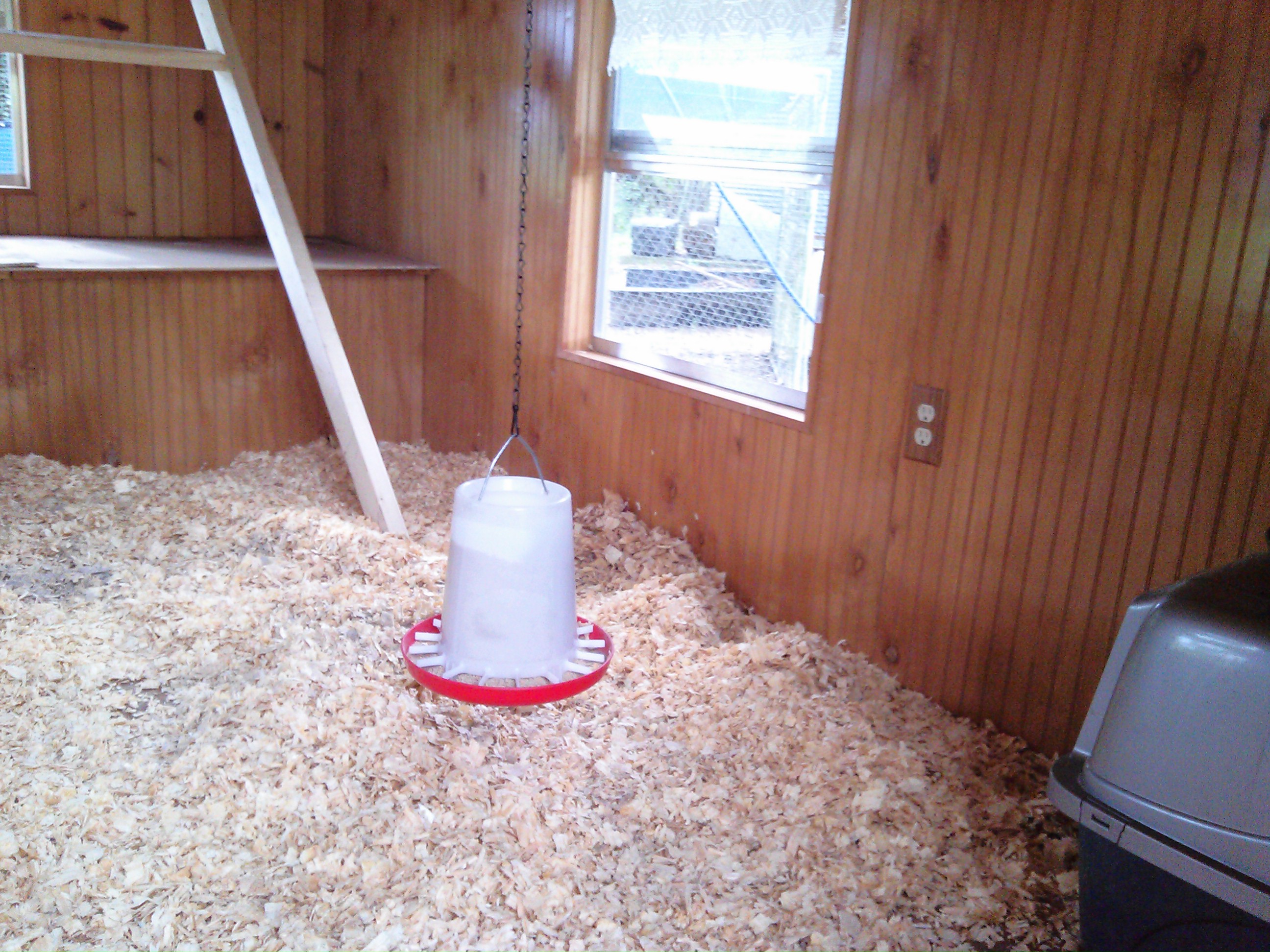 The feeder is hung up ... and an old litter box will hopefully to be used for the dust bath. I may have to take the cover off of it though.