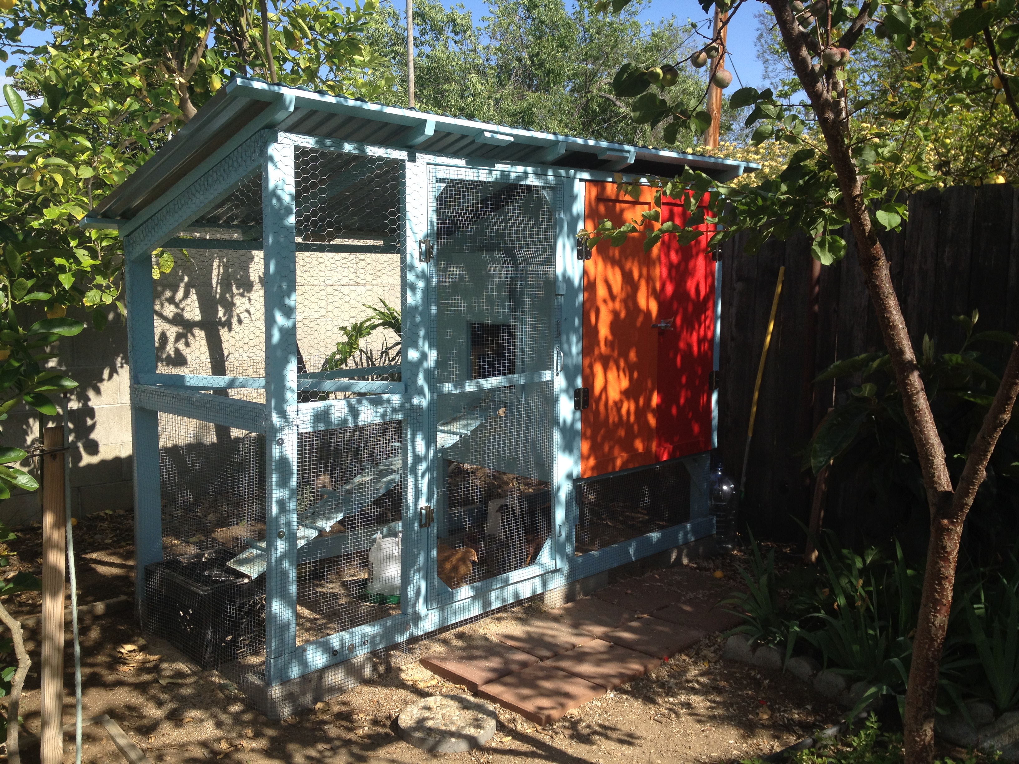 The finished coop and run in sun-dappled light.