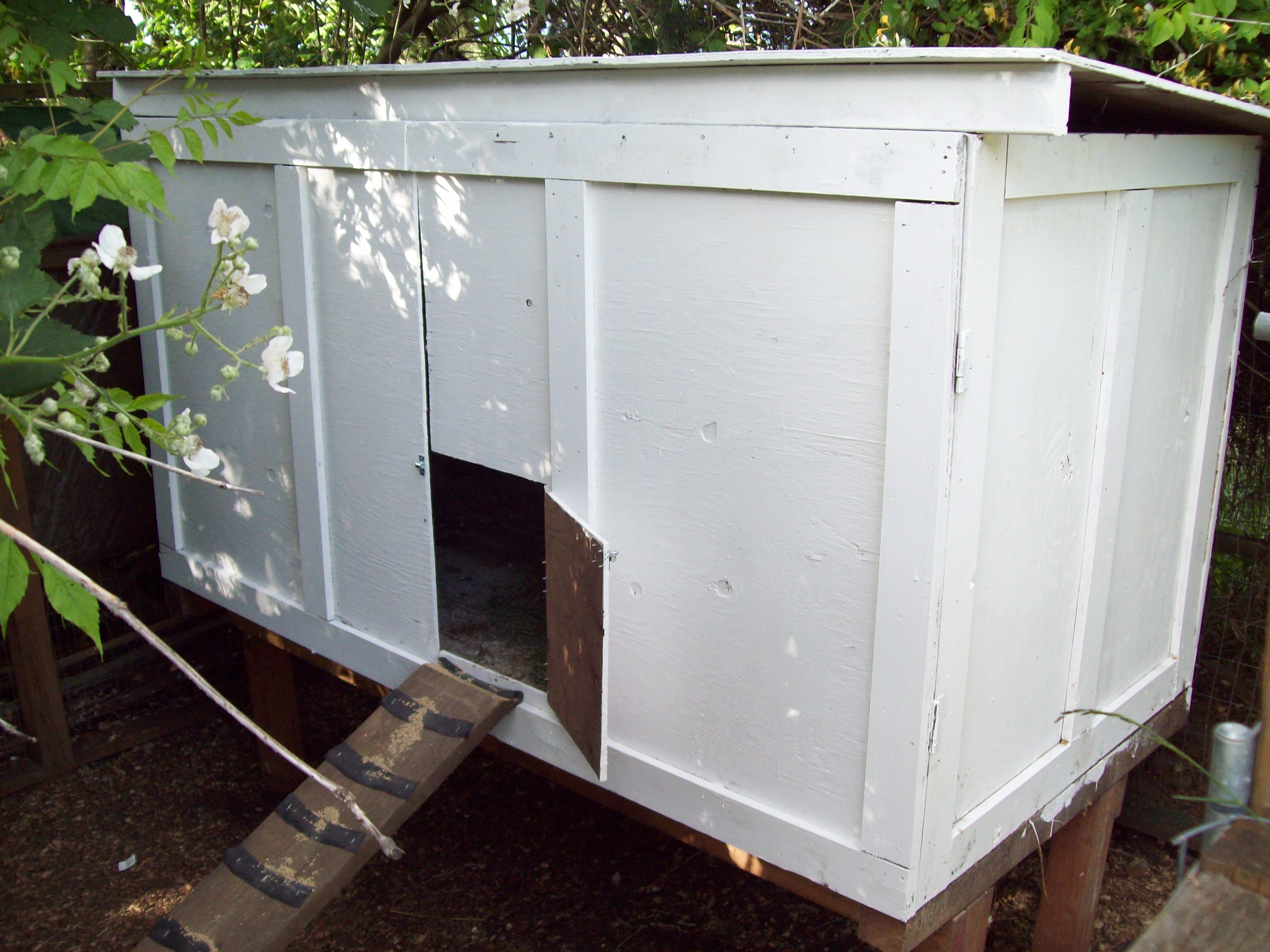 The finished coop