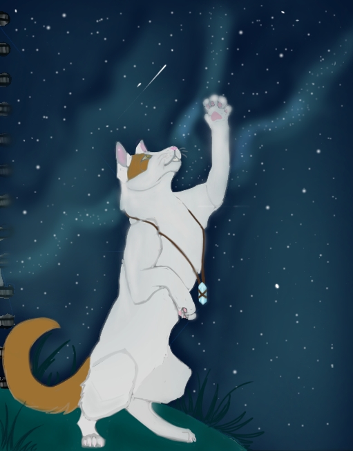 The finished piece for, Hear me, StarClan!
