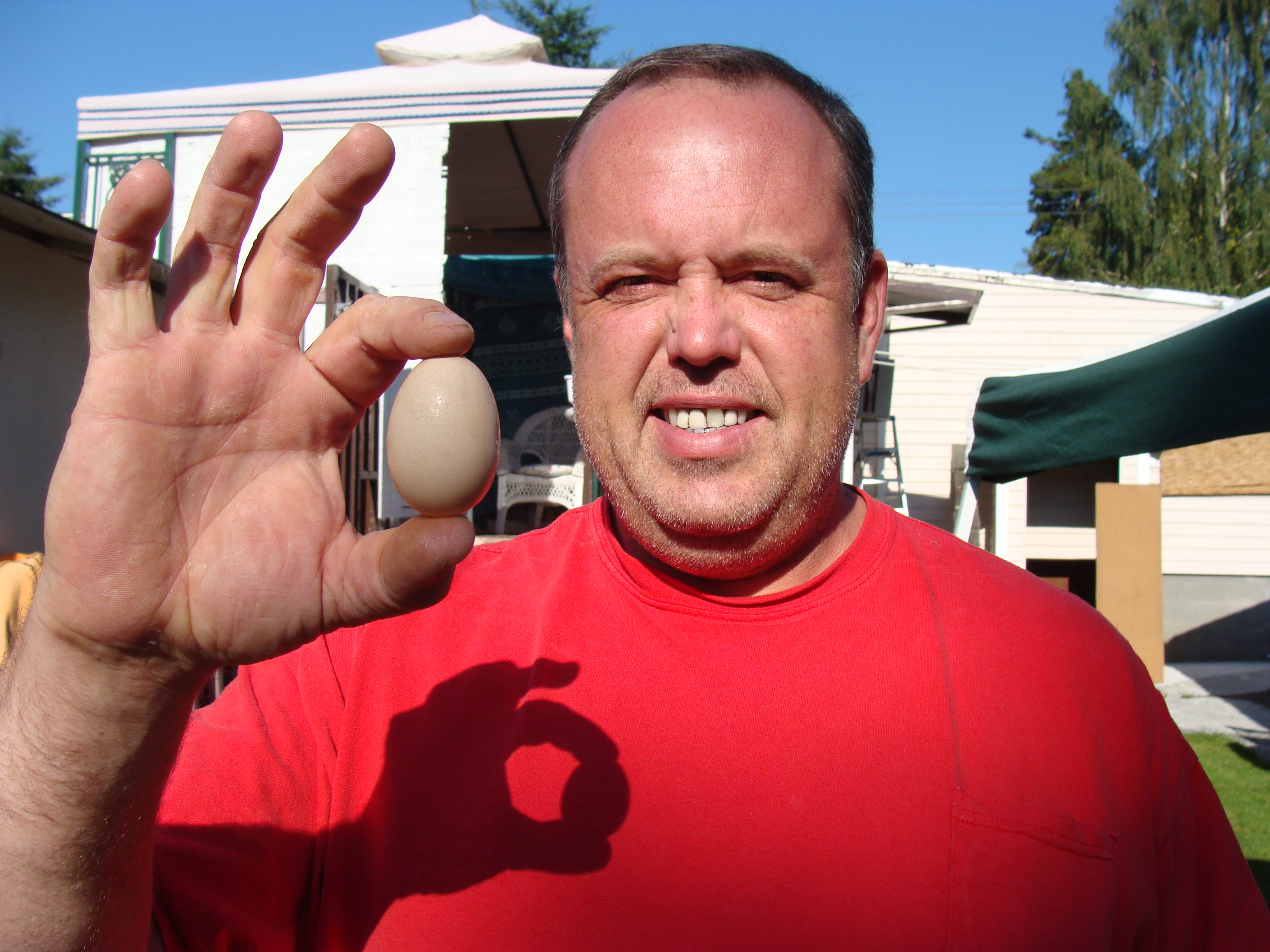 The first egg my girls have produced. I still don't know which one laid this egg.