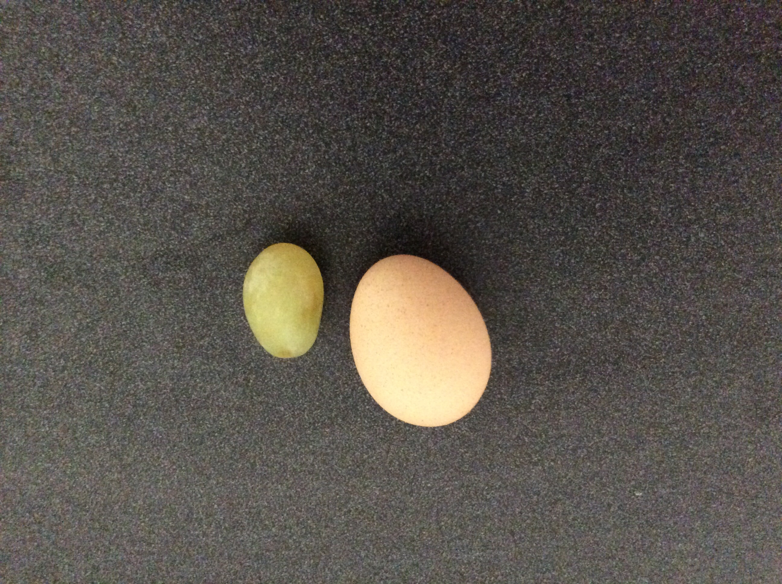 The first egg next to a grape. Lol.