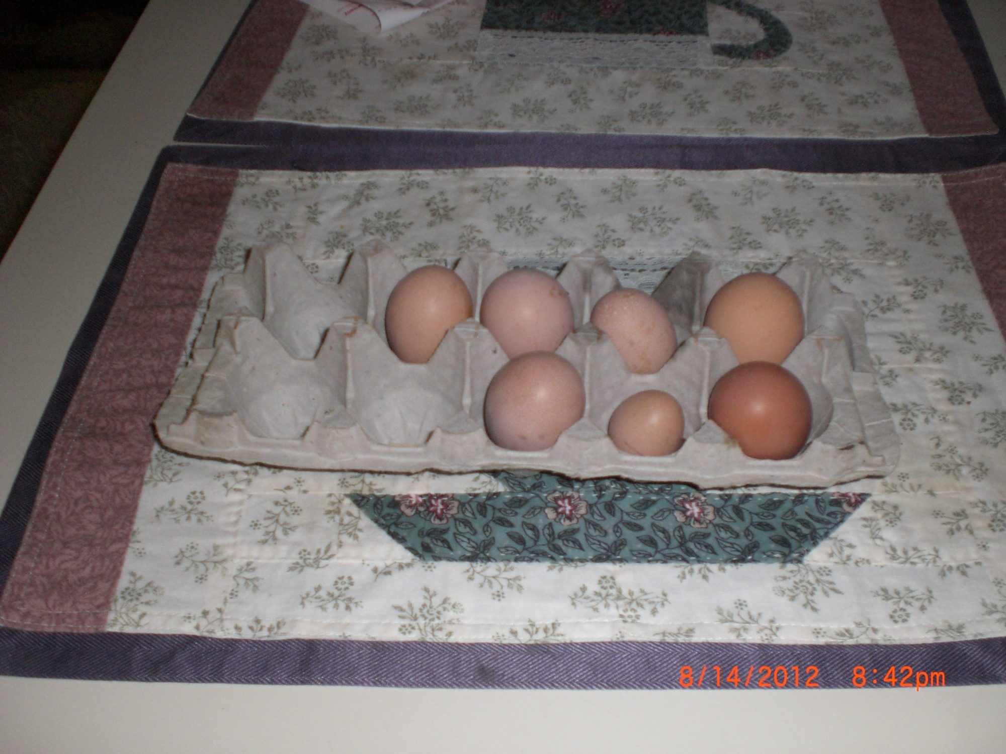 The first eggs. I'm so proud.