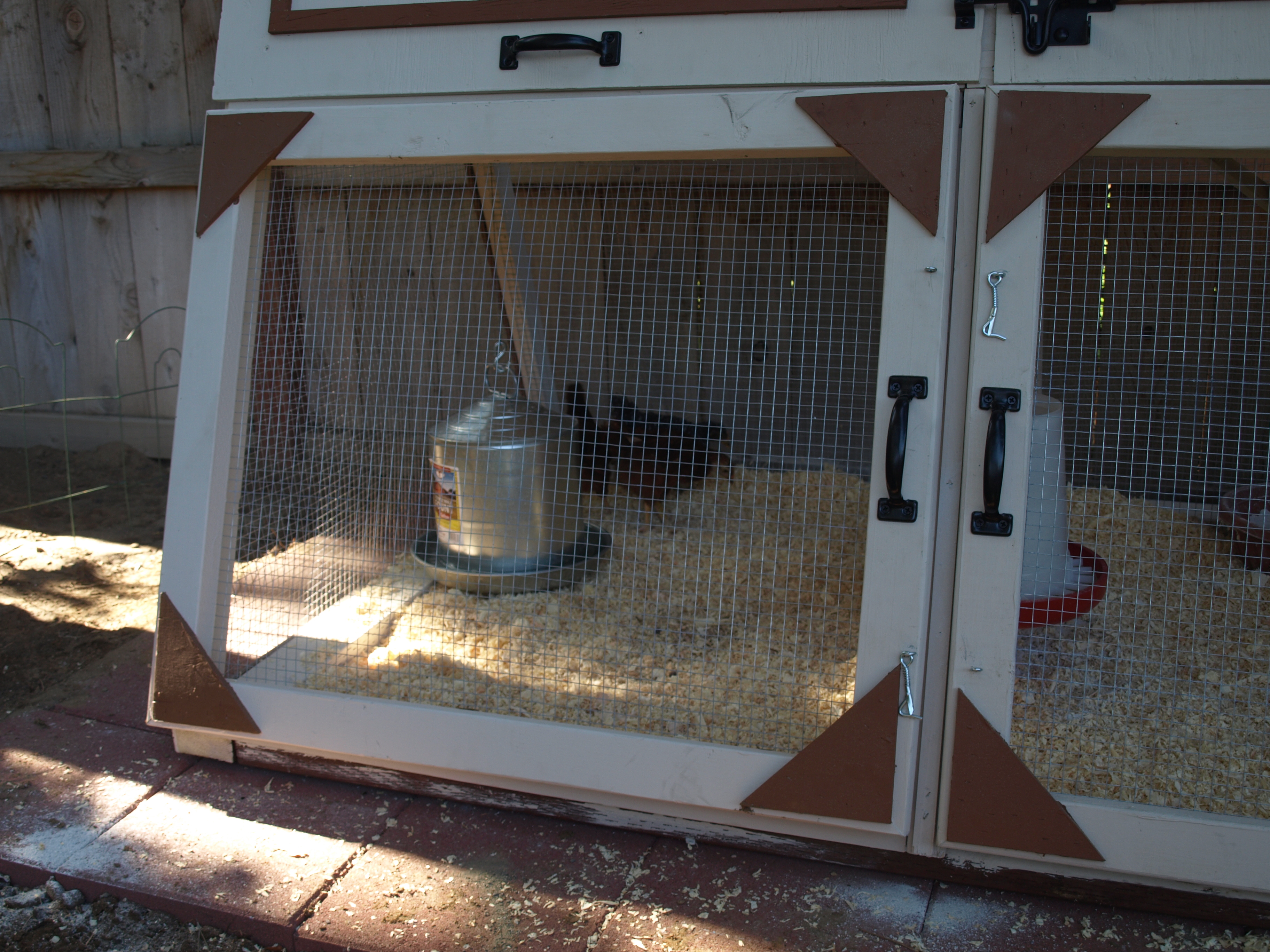The first night in their new abode