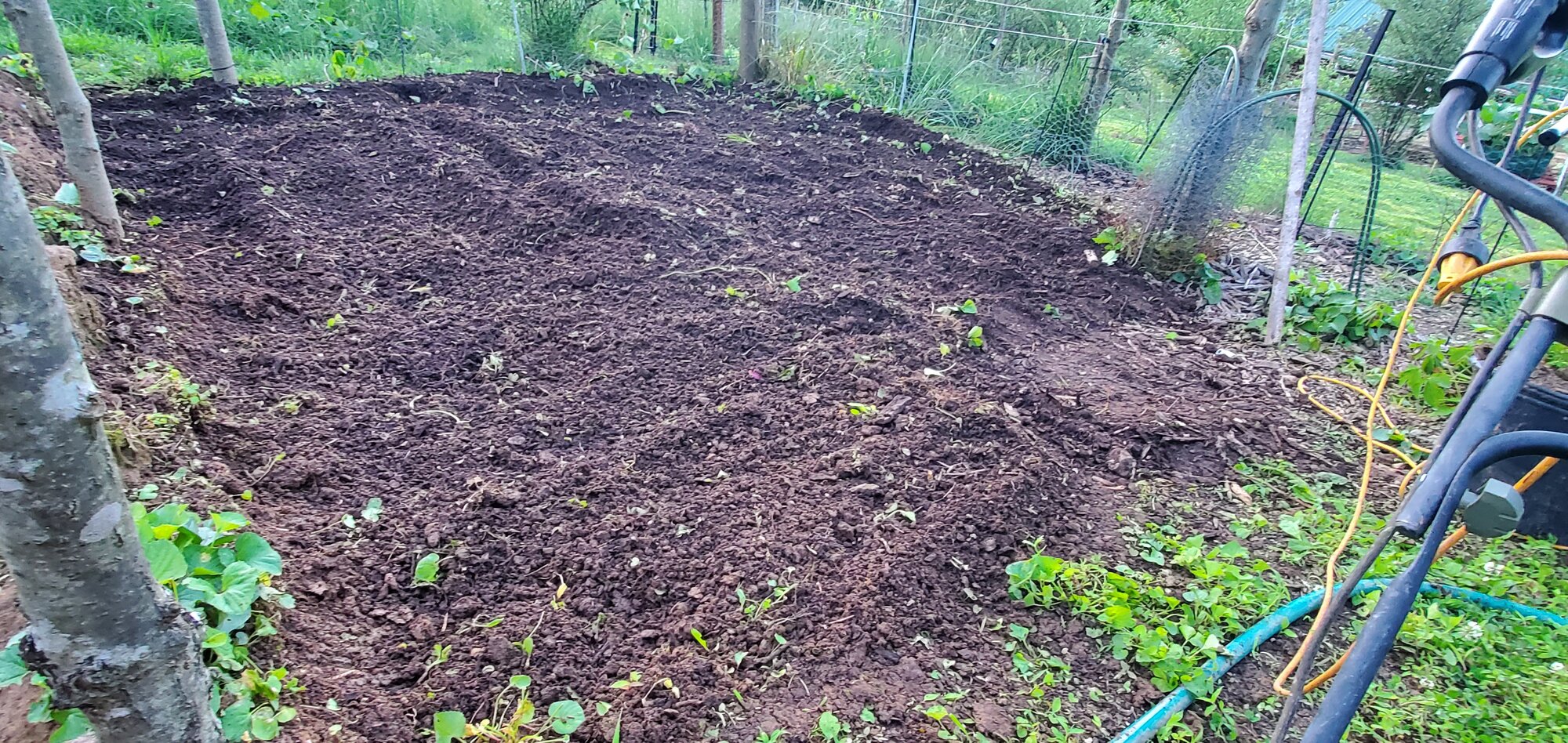 The freshly tilled Squash-Bed