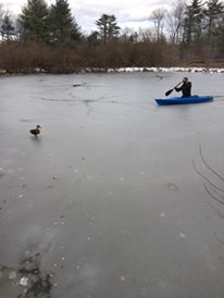 The Fun Way To Catch A Duck