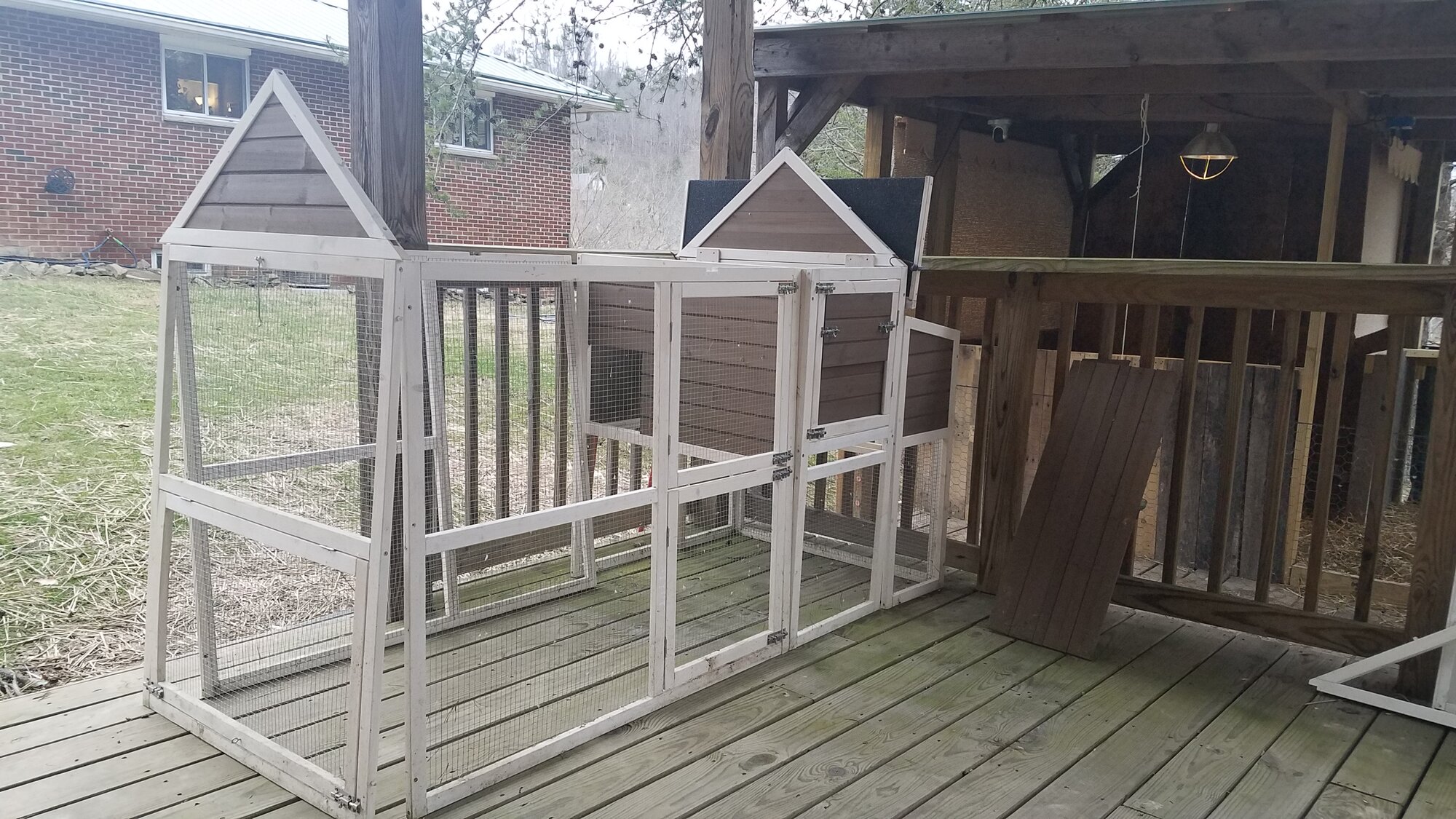 The future home for the ducklings: The old chicken house