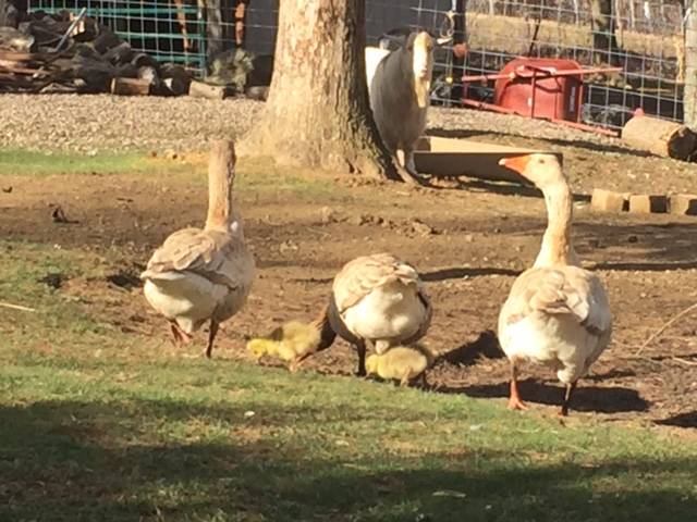 The gang's all here!