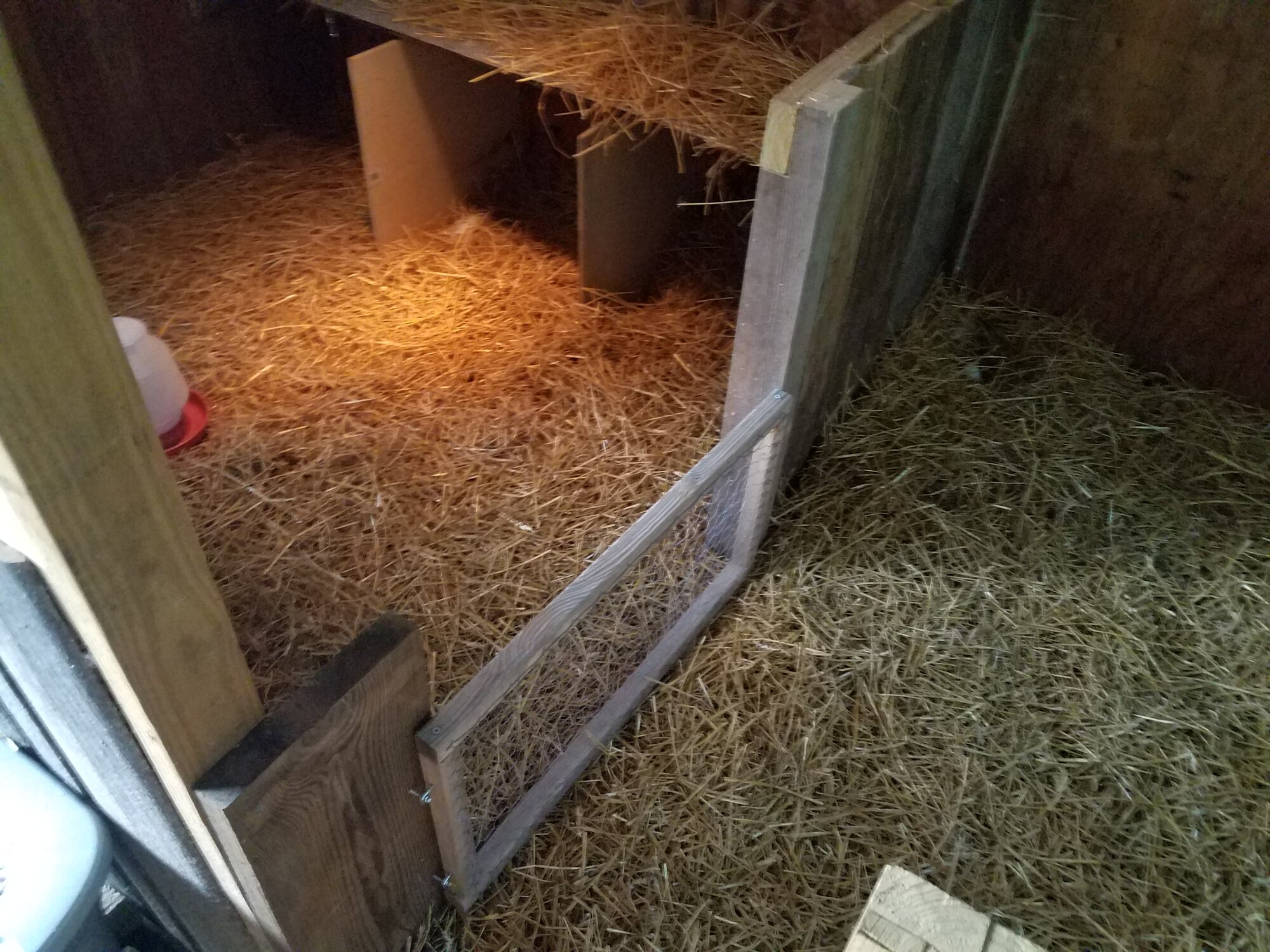 The gate to protect Katharina and her ducklings