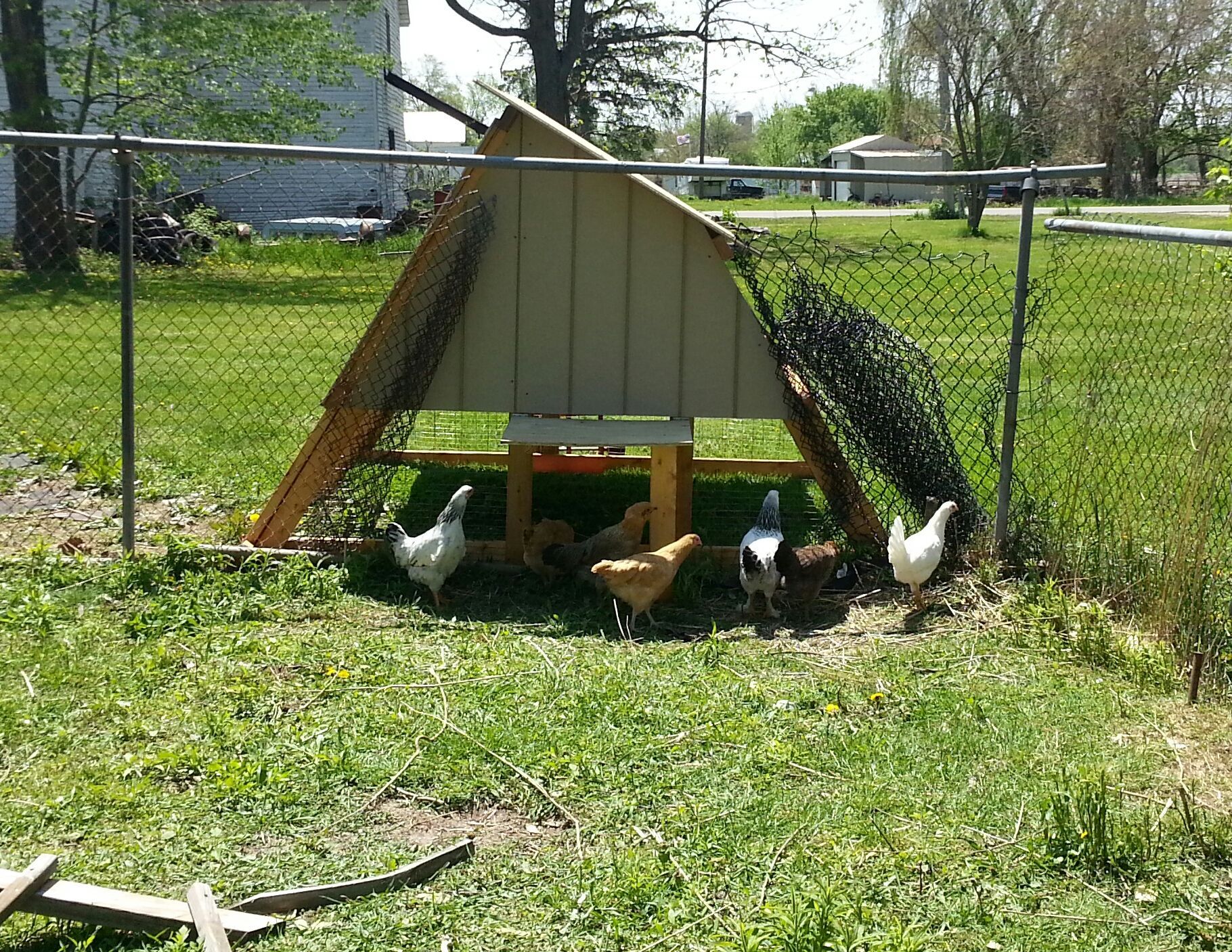 The girls checking out their new home!