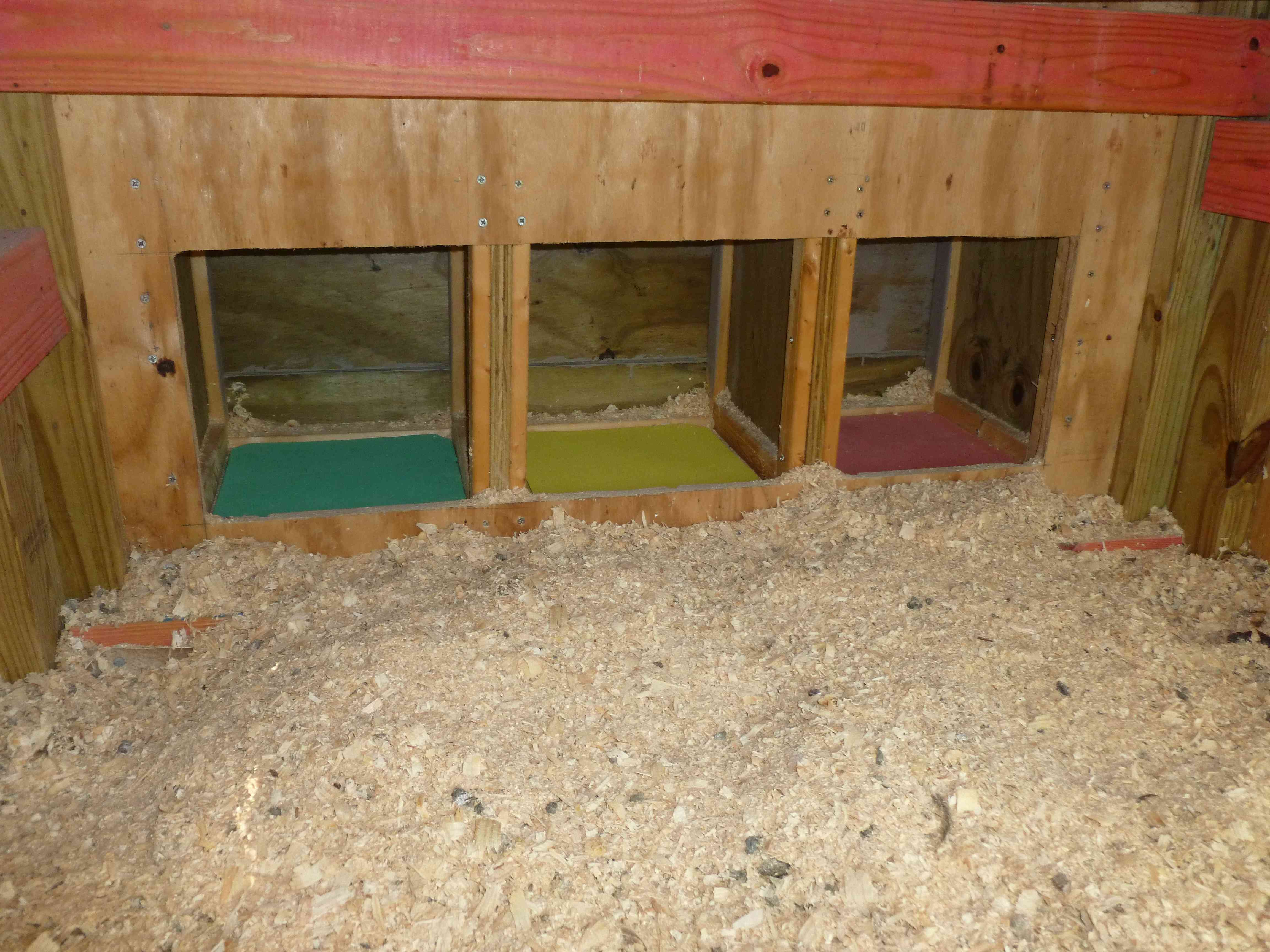 The girls complained of a boring interior so I spruced up the nest boxes with some colorful exercise floor mats which help cushion the eggs. I've been using pine shavings in the boxes but they always get scattered into the coop so am trying hay over these cushions, hoping for less scattering.