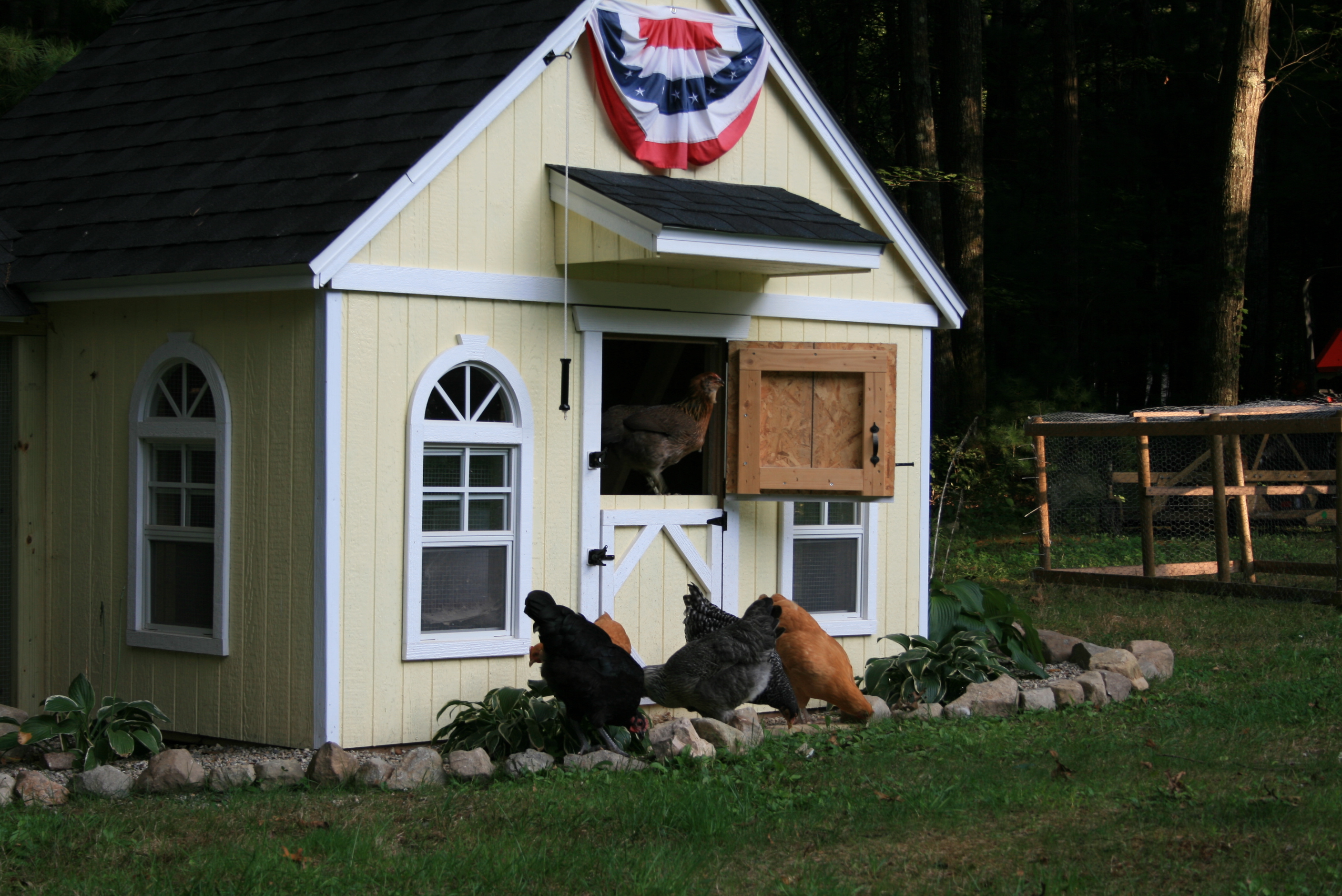 The girls enjoying some free range time....