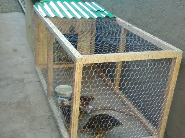 The girls in there newly built home.