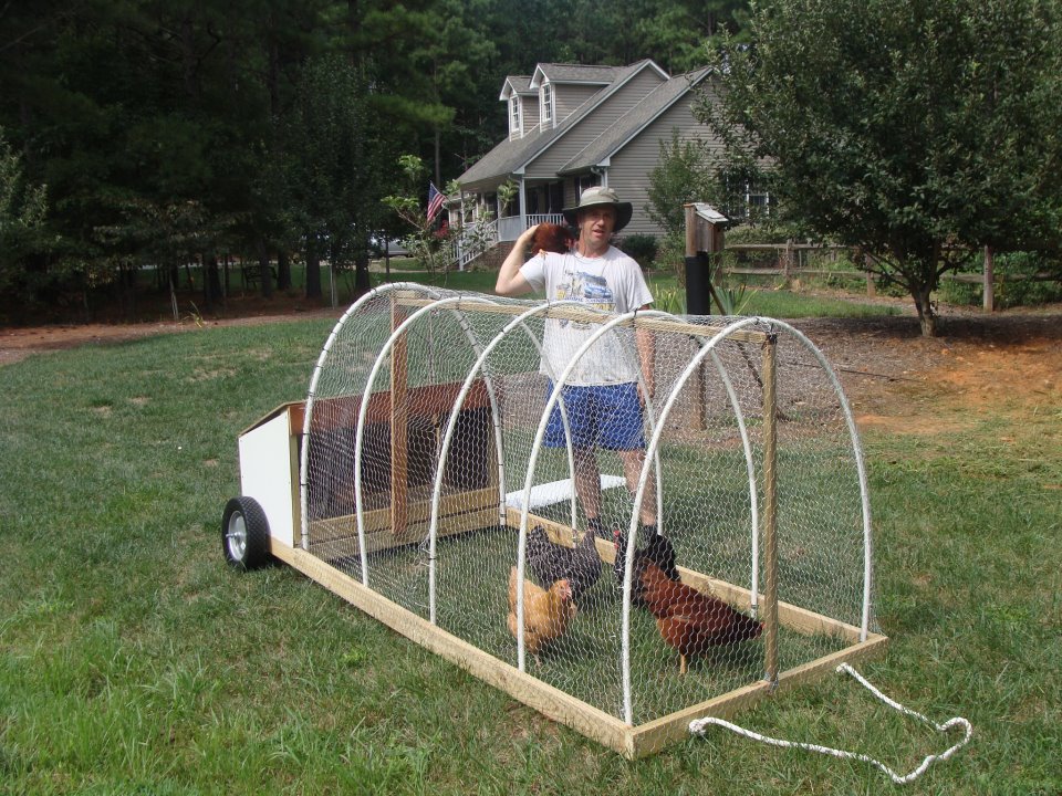 The girls love this tractor. Eating lots of crickets and GHoppers...This was simple to make. I will add to castors to the front so I won't have to hold it up and pull.