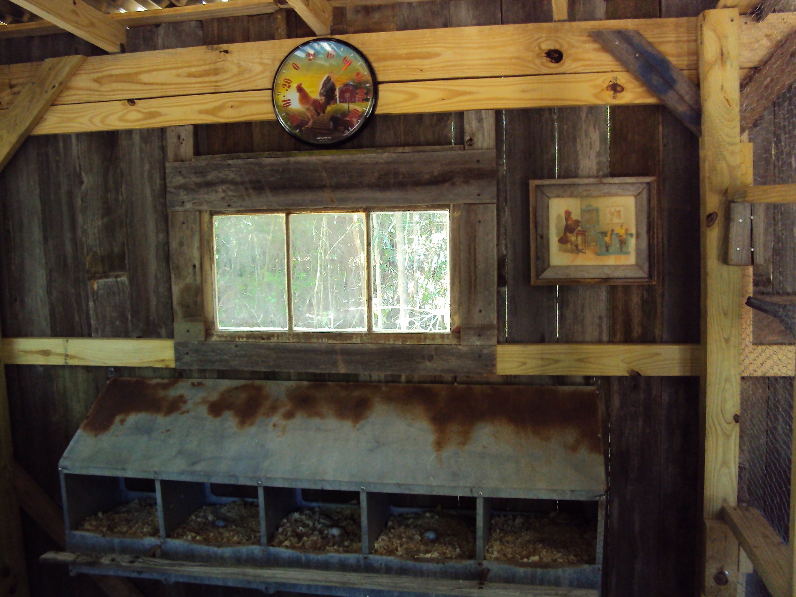 The girls nesting boxes and décor.  They took to them right away.