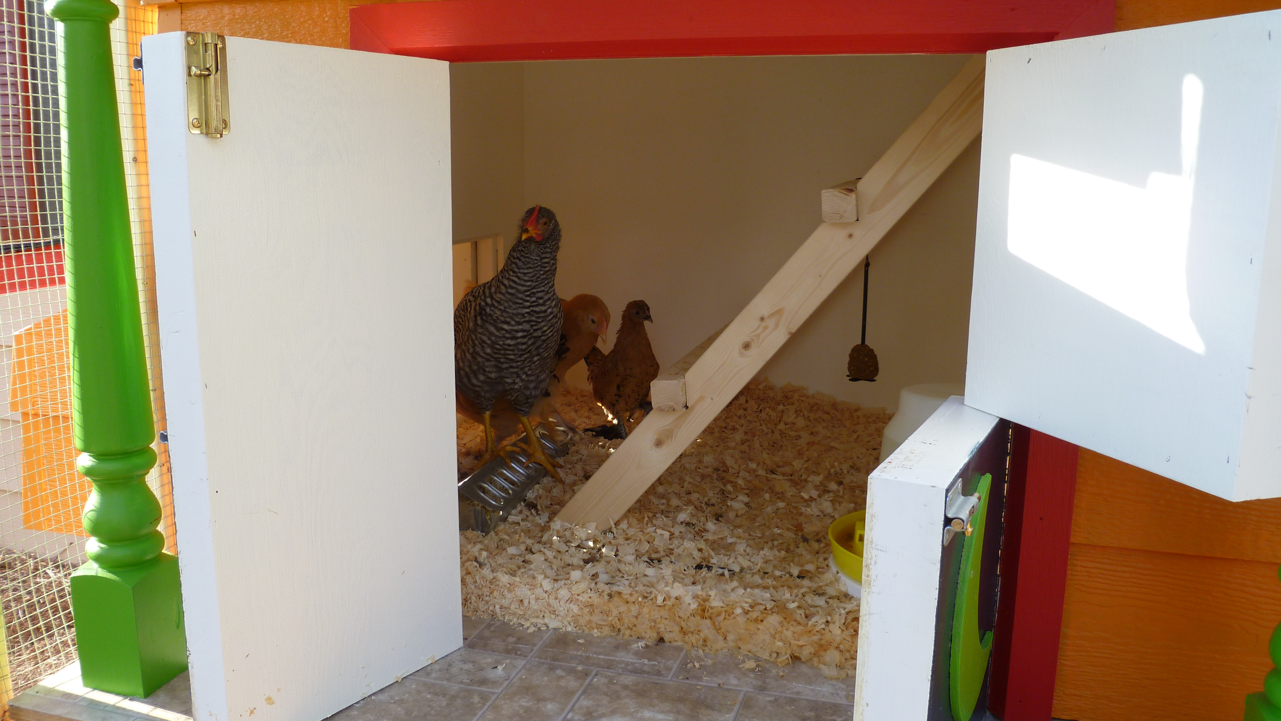 The girls smiling for the camera.