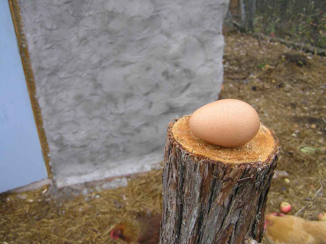 the golden egg, numero uno