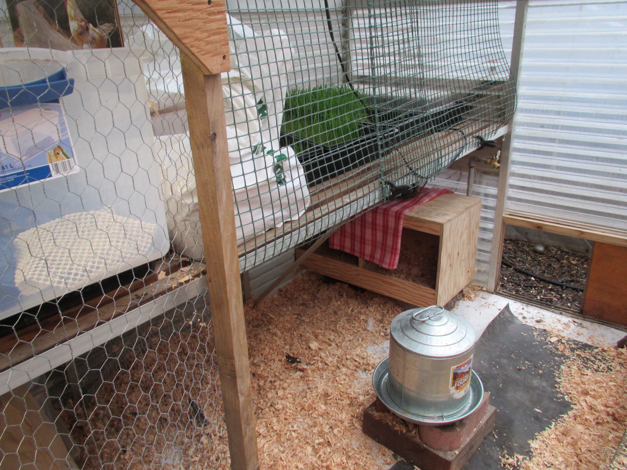 The greenhouse bench acts as storage space and a place to grow fodder.