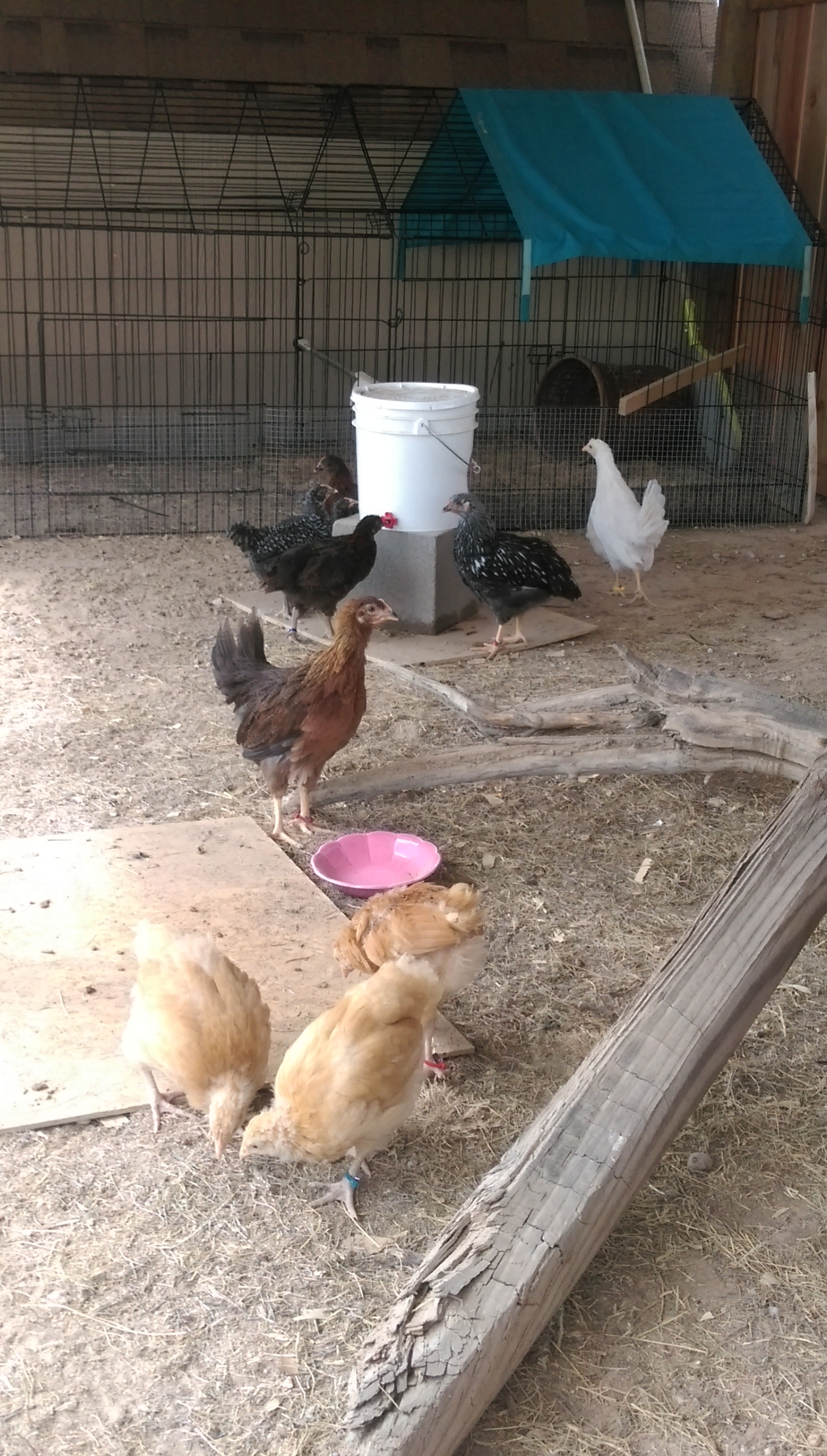 The group enjoying their afternoon