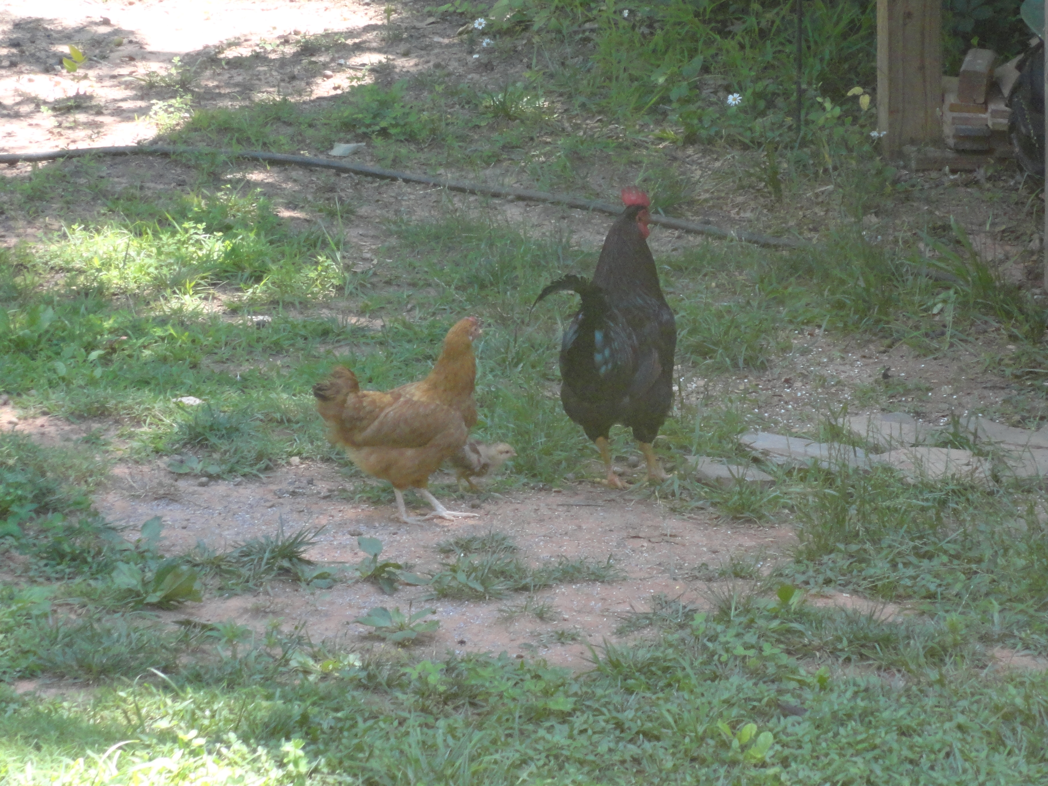 The happy family :)