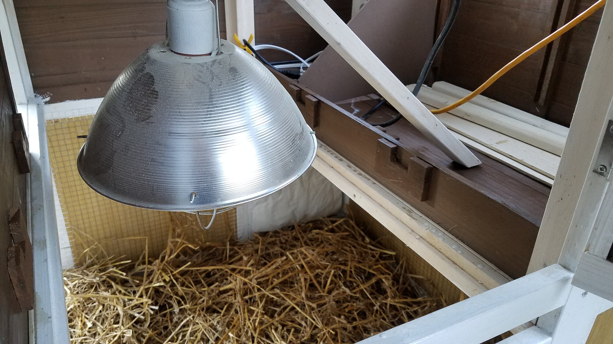 The heat-lamp, securely attachewd to a wooden stud