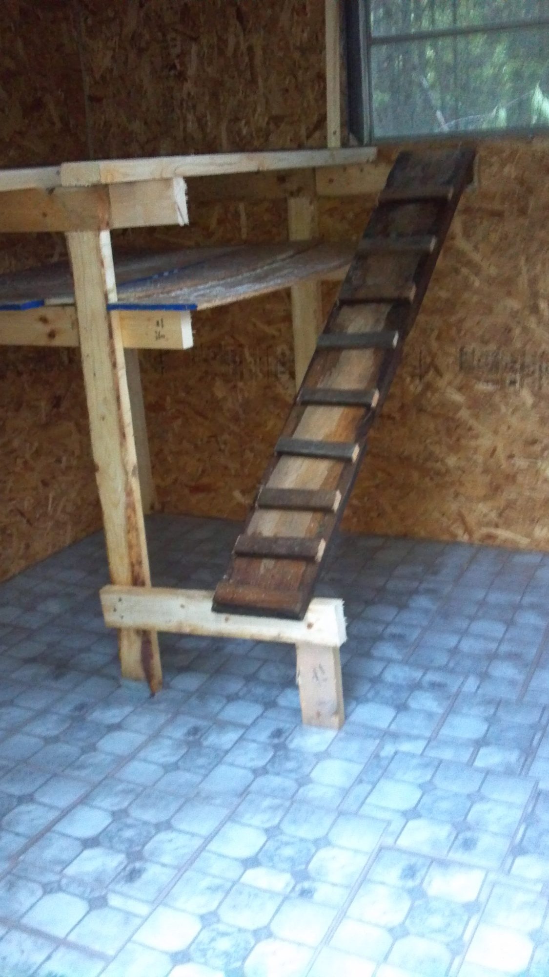 The hen hotel