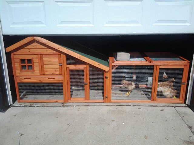 *
The hen house and run my dad and I built together.