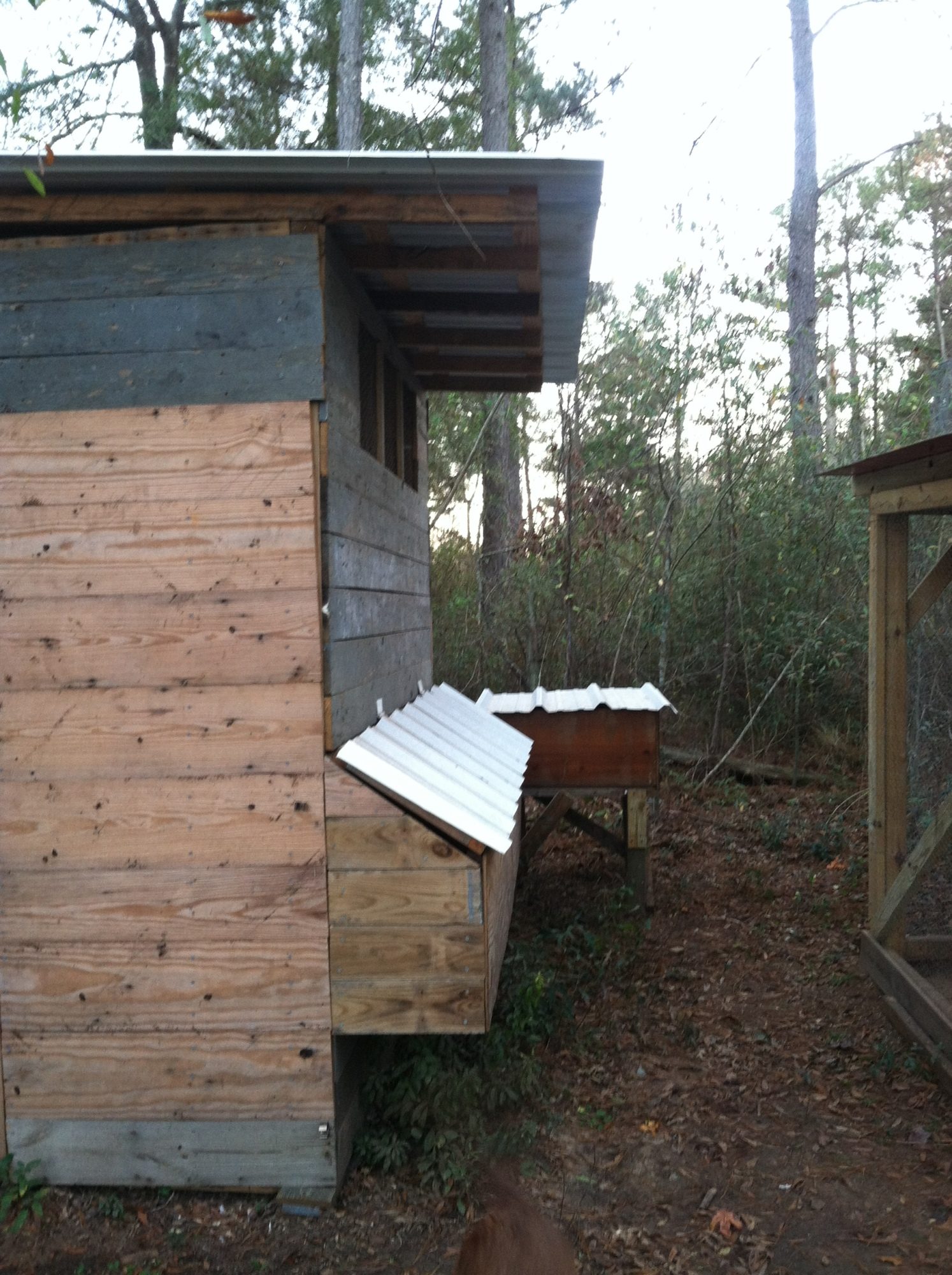 The hen house is right beside the rooster coop, along with my little feed box there