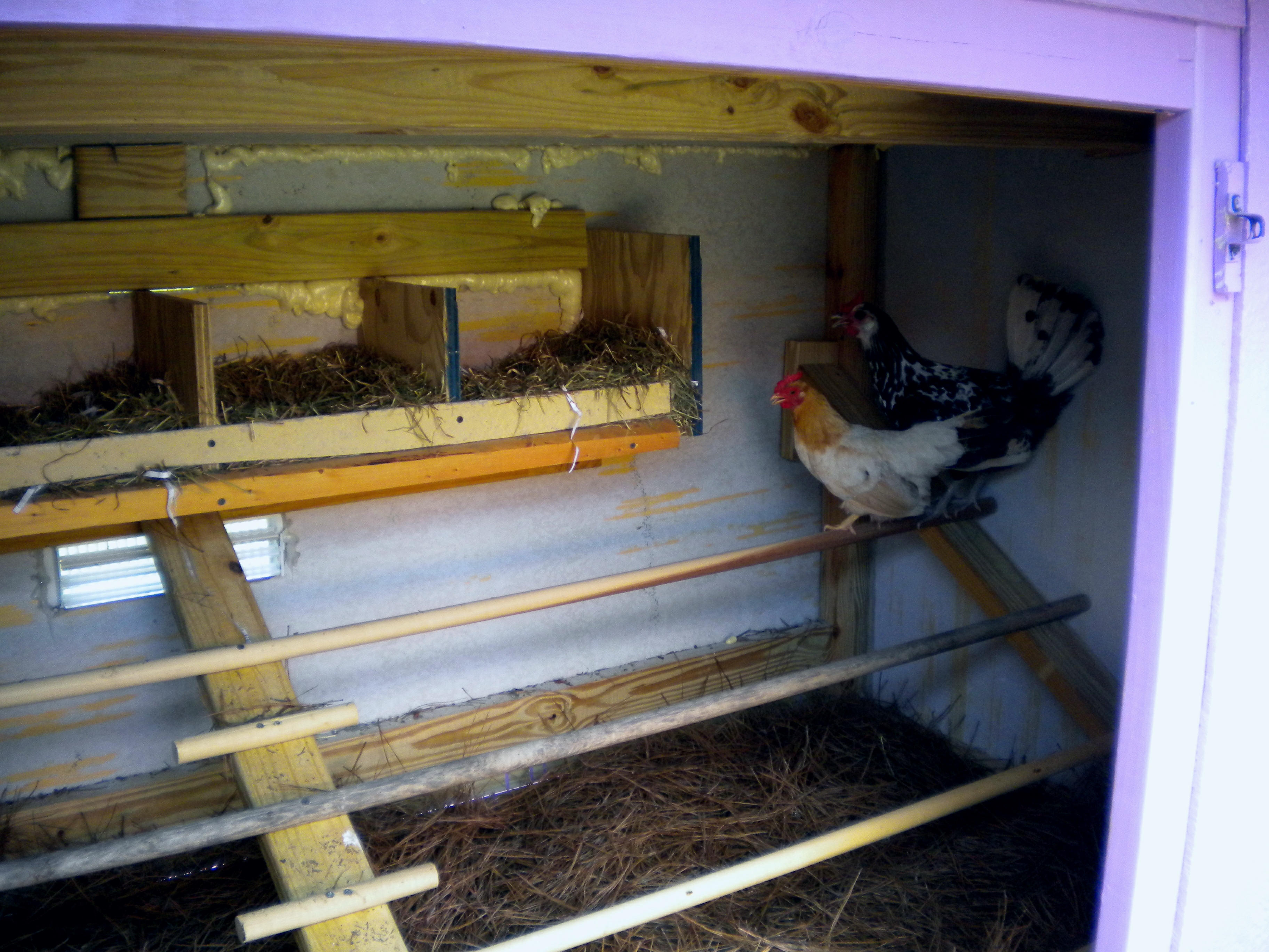 The hens like it they are already in it and we are just doing the finishing touches.