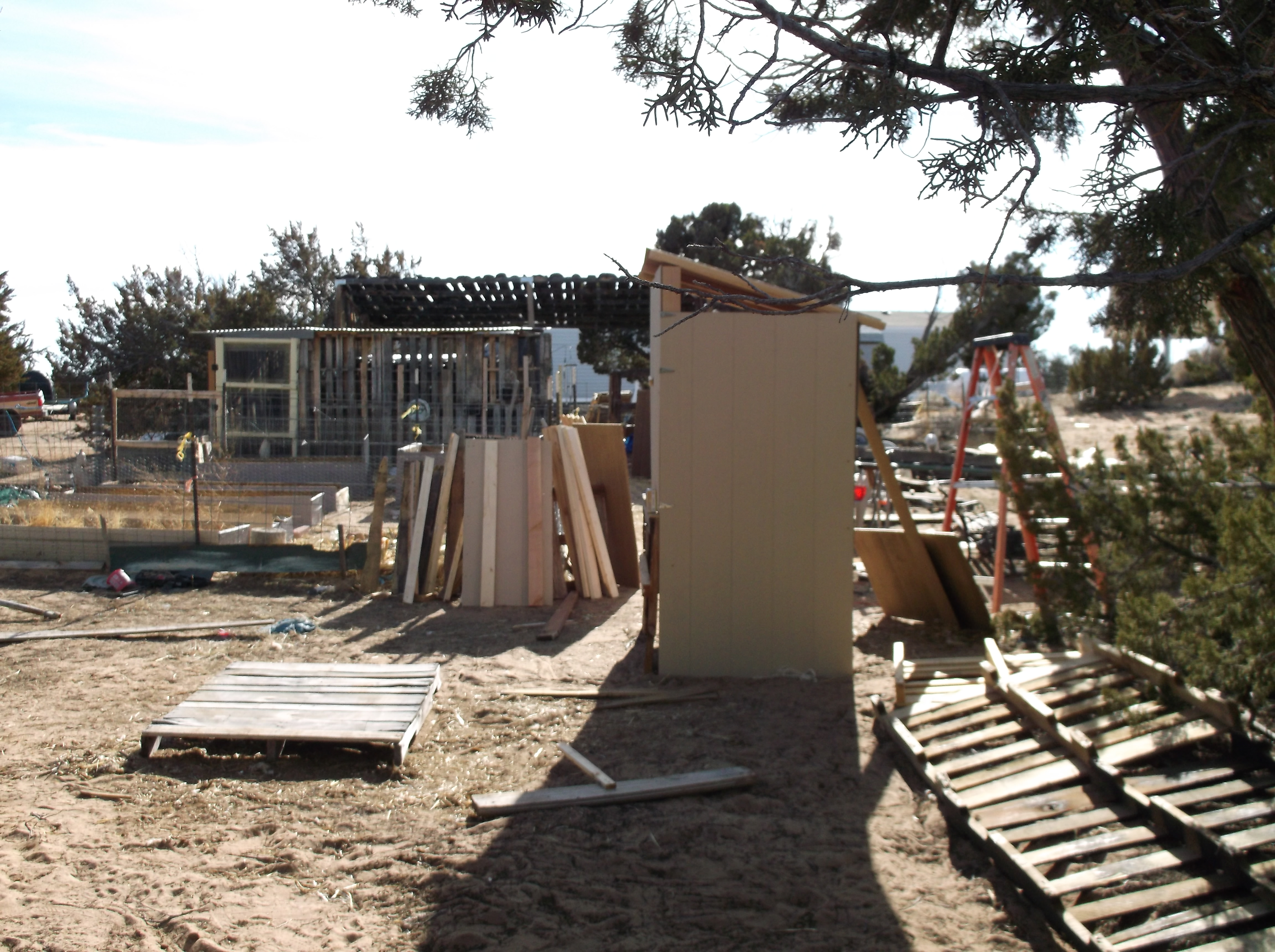 The hutch, garden area and current run.
