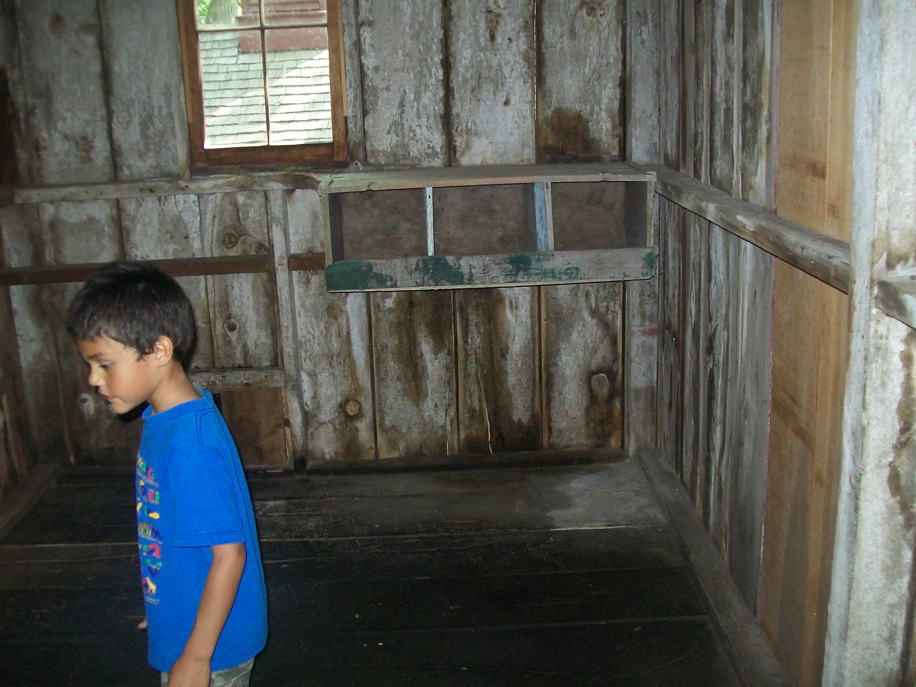 The inside coop nest boxes. Grant made a tidy yearly sum on his egg