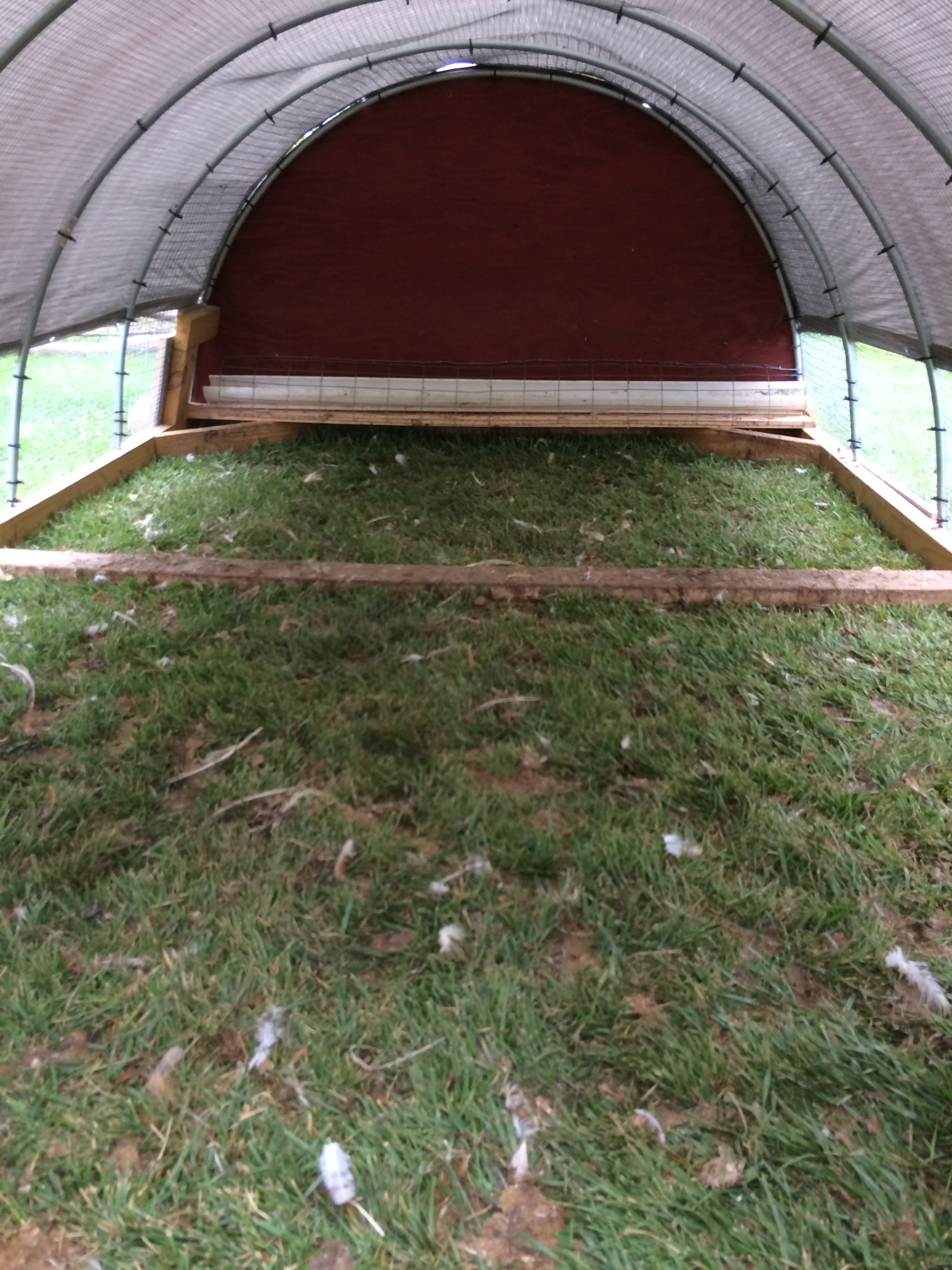 The inside of the coop (sorry for the mess, this was the day after the CX broilers were processed and I was just getting ready to clean it out)

There is a brace bar in the middle and you can see the slide out feed trough on the end