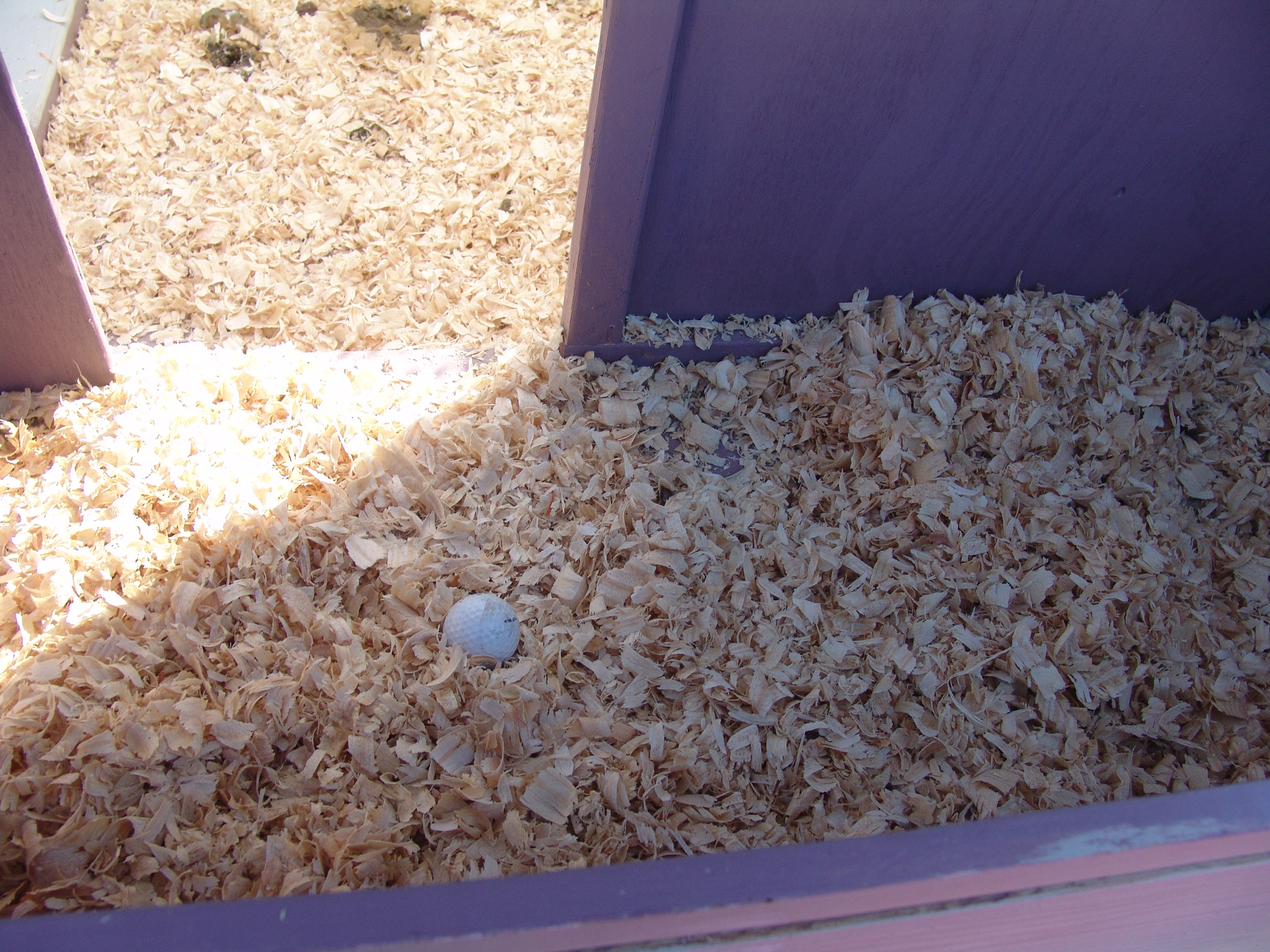 the inside of the nest box