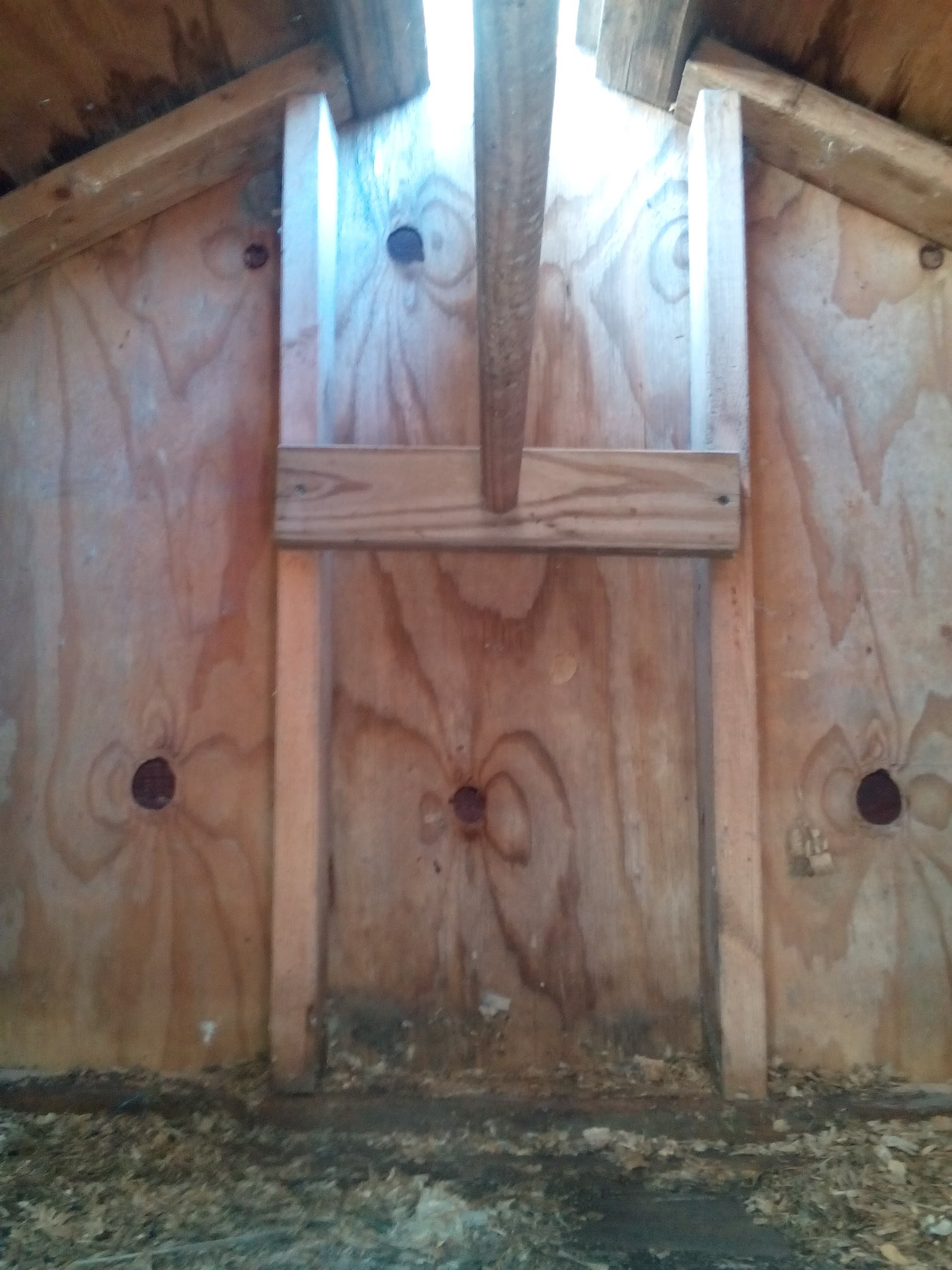 The inside was small. And tall. Sorta. The only was in was by lifting up what was the roof. Both side were hinged but very, very heavy. Not an ideal situation. And the roosting bar was straight down the middle. No nesting boxes and it would have only house 4 chickens max. Time to get out the sawzall.