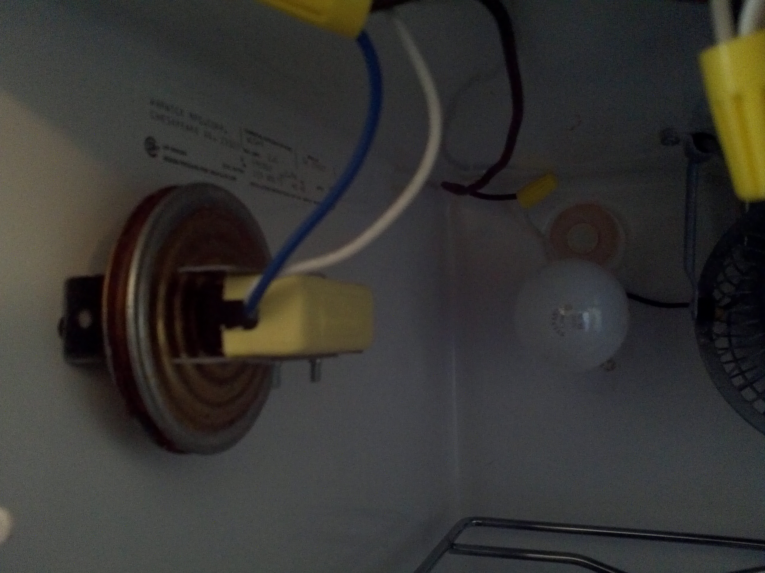 The interior side of the thermostat and the main heating bulb.